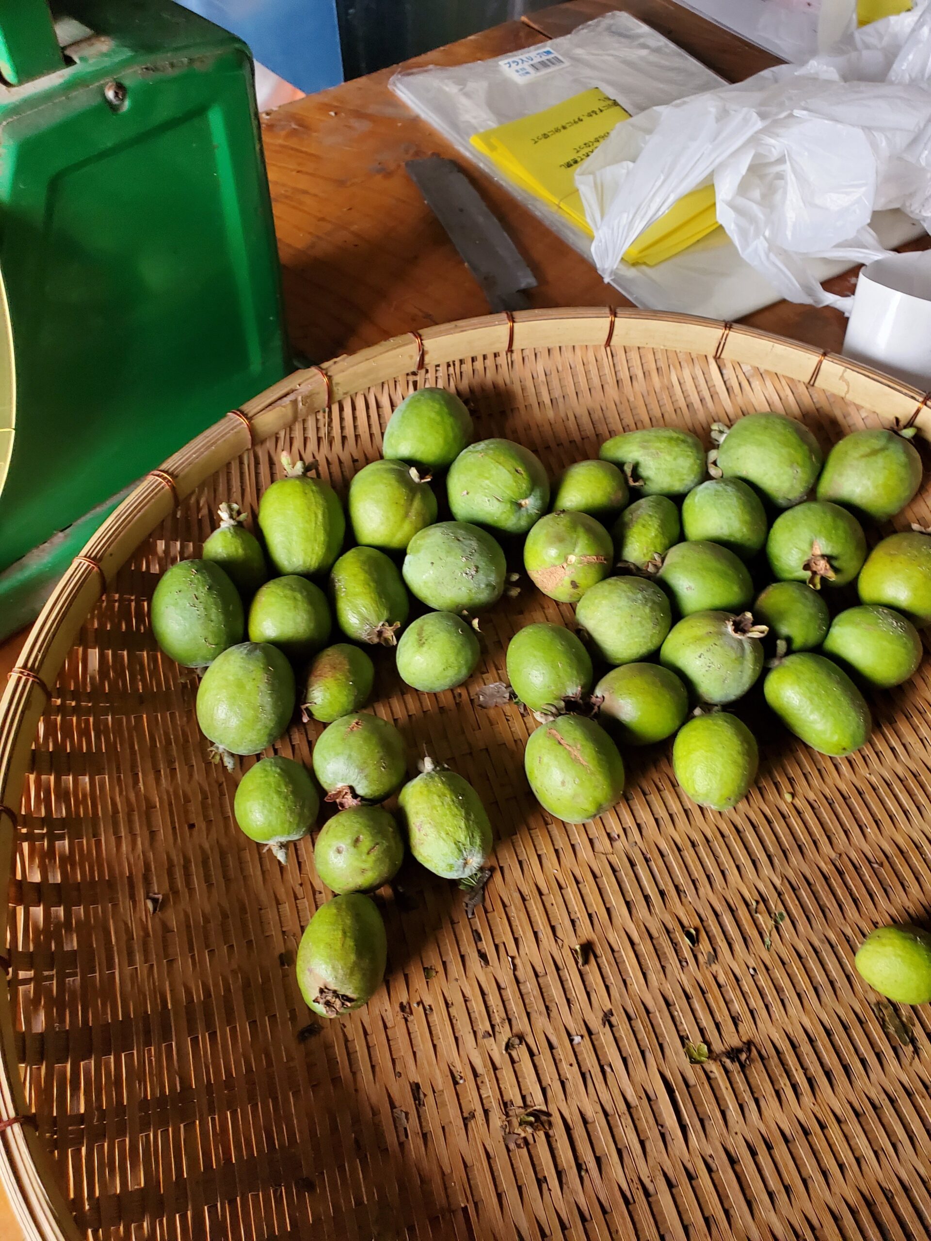 20211118_1256114353198653932962