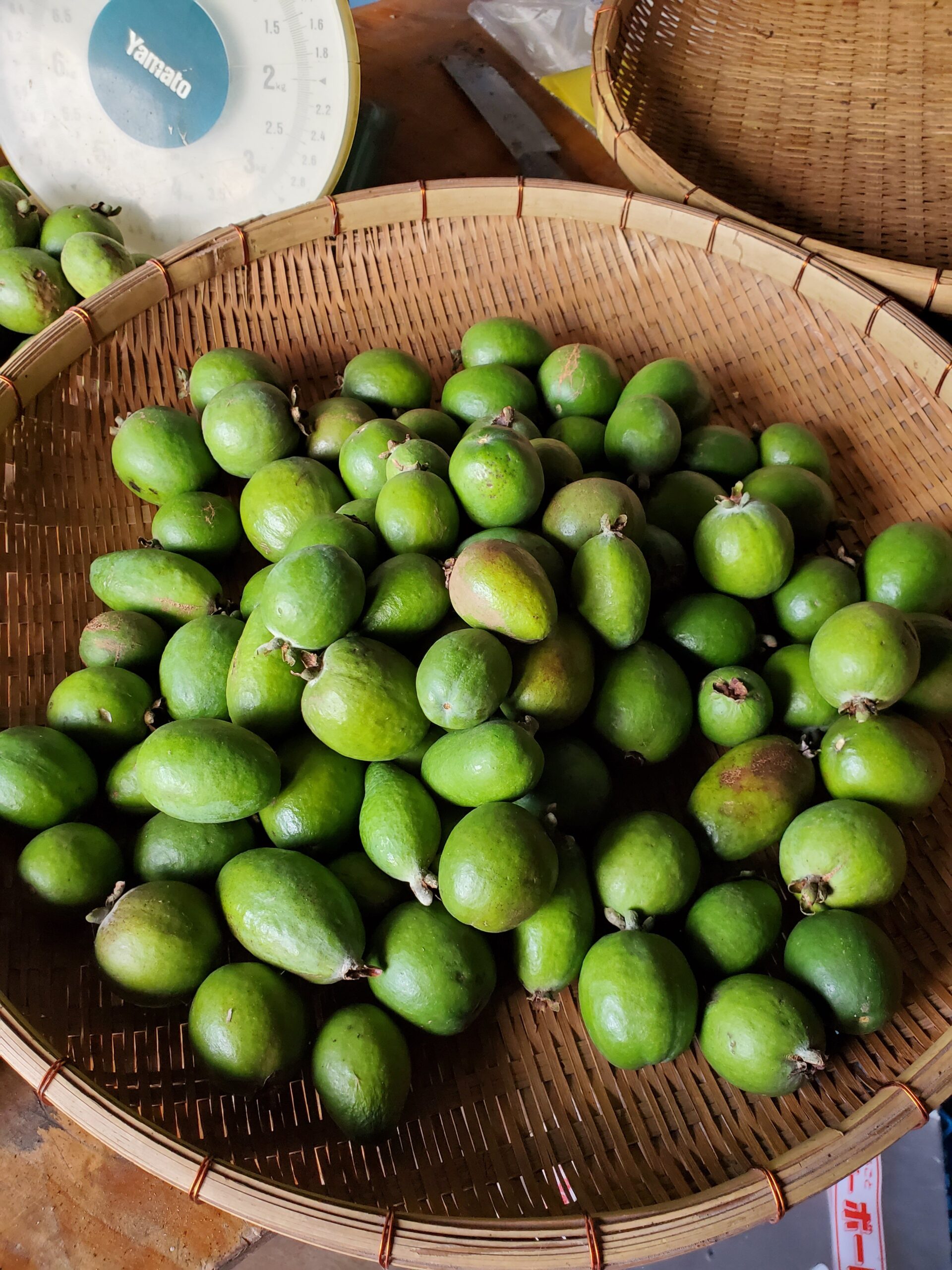 20211118_1438144519301409232932369