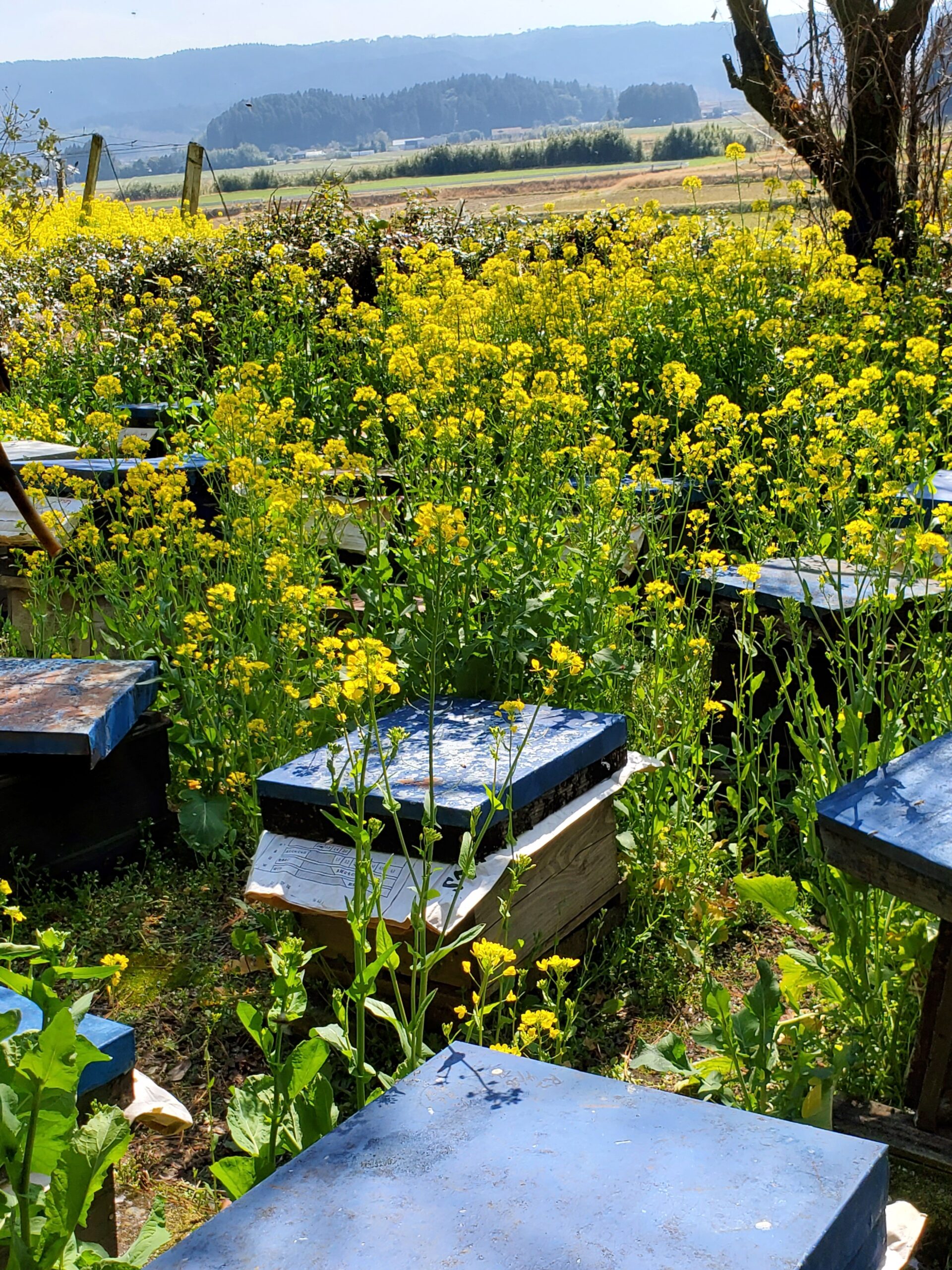 20220309_1322364445862685439574253