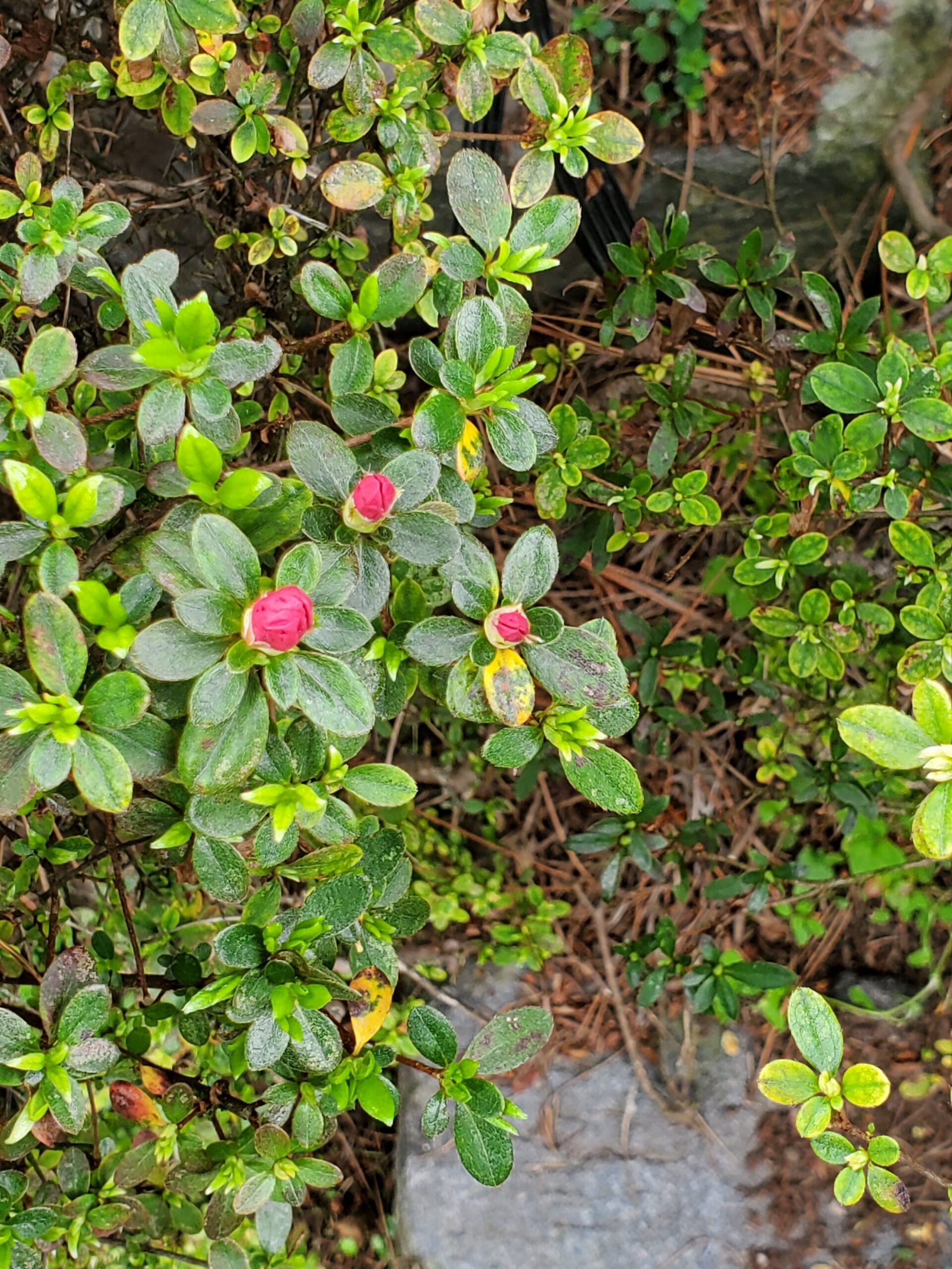 20220328_1250069065964077390186616