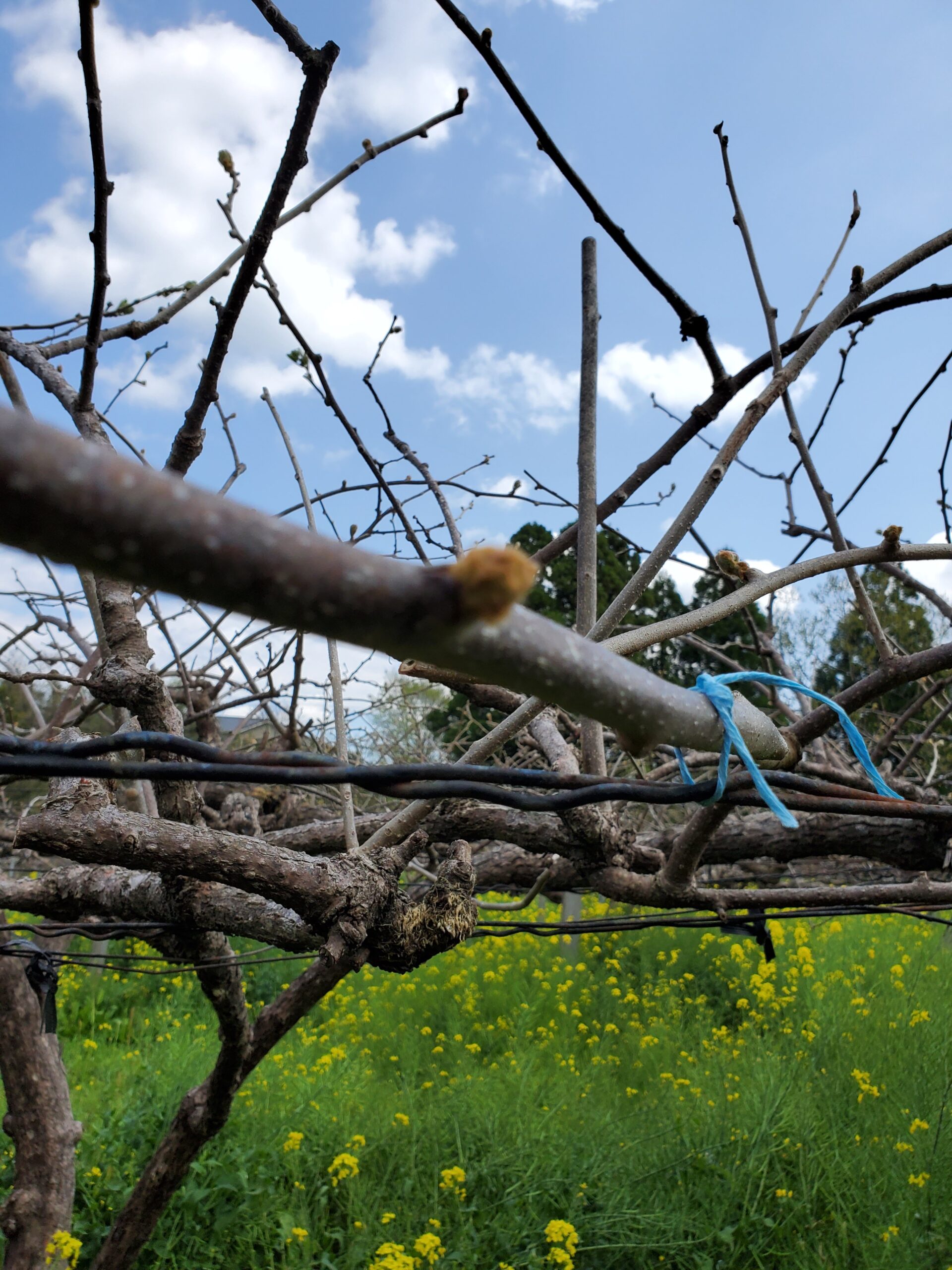 20220401_1304395409367103860780215