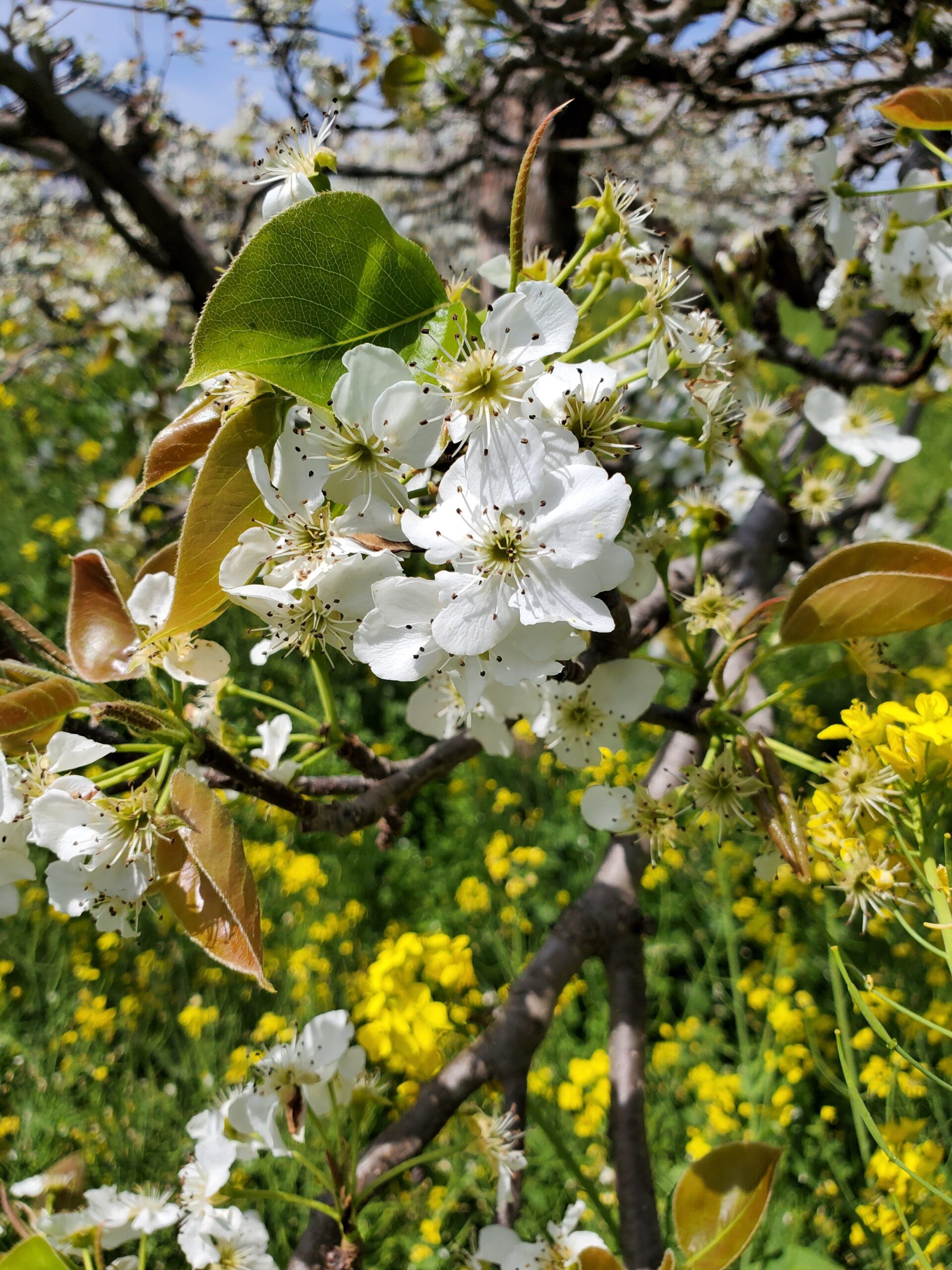 20220406_125646804985612883459373