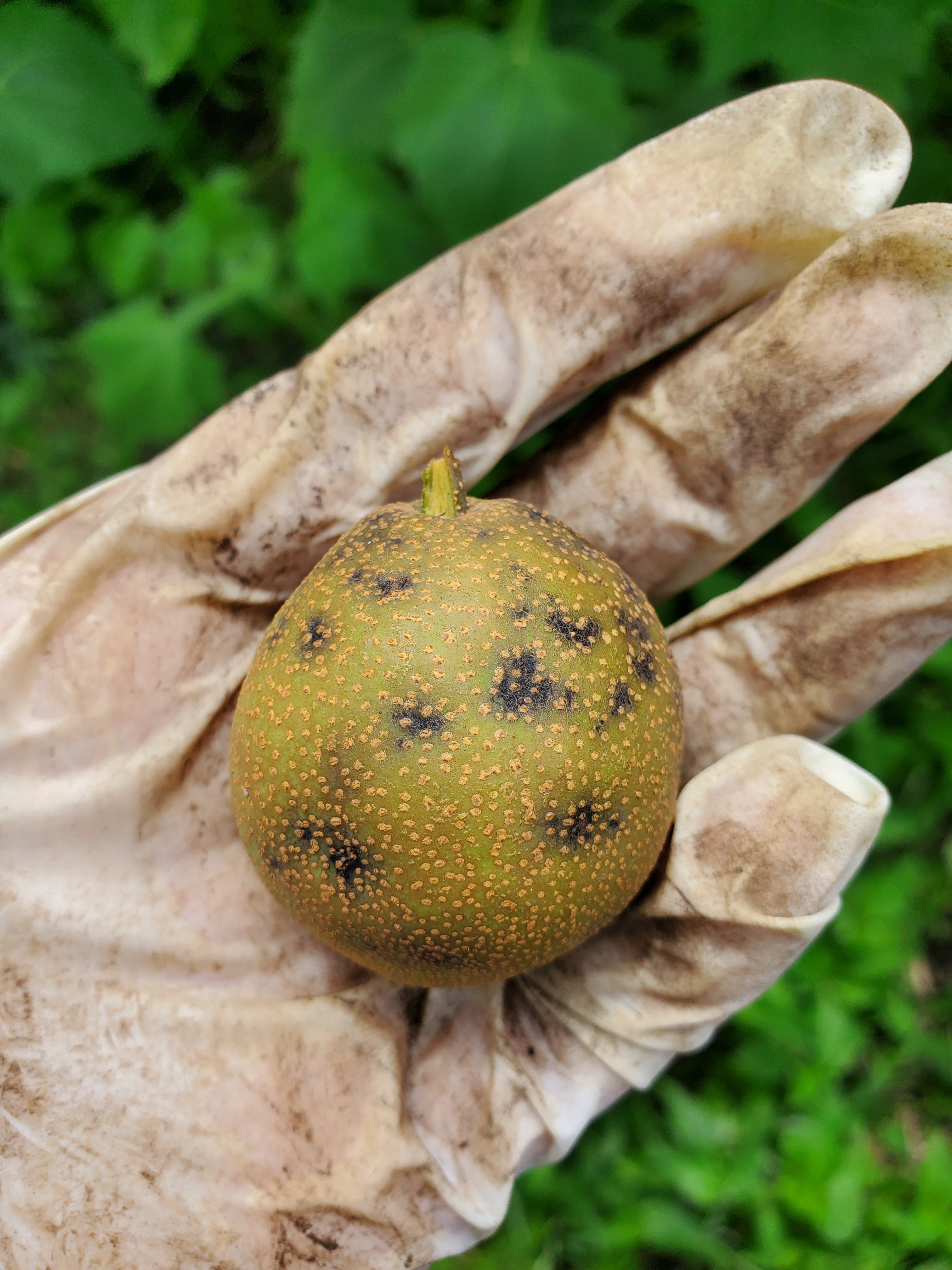 20220622_1358004115075830823937372