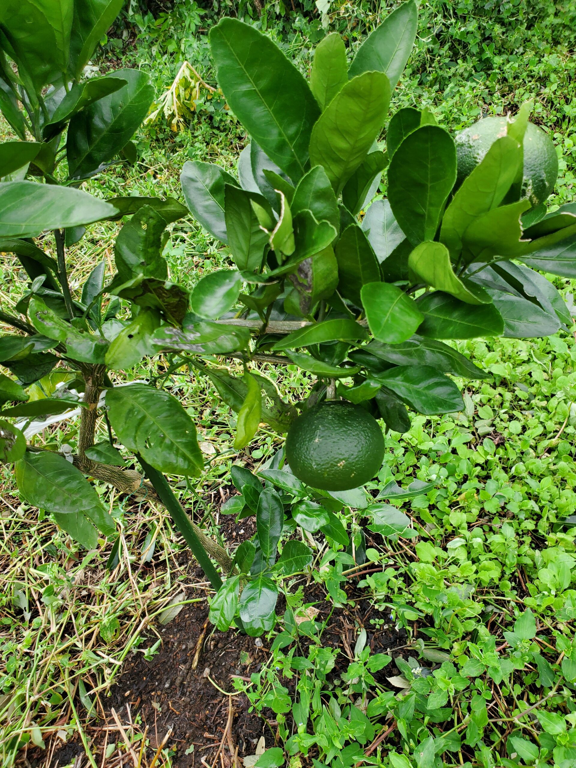 20220919_1534412586291207111337086