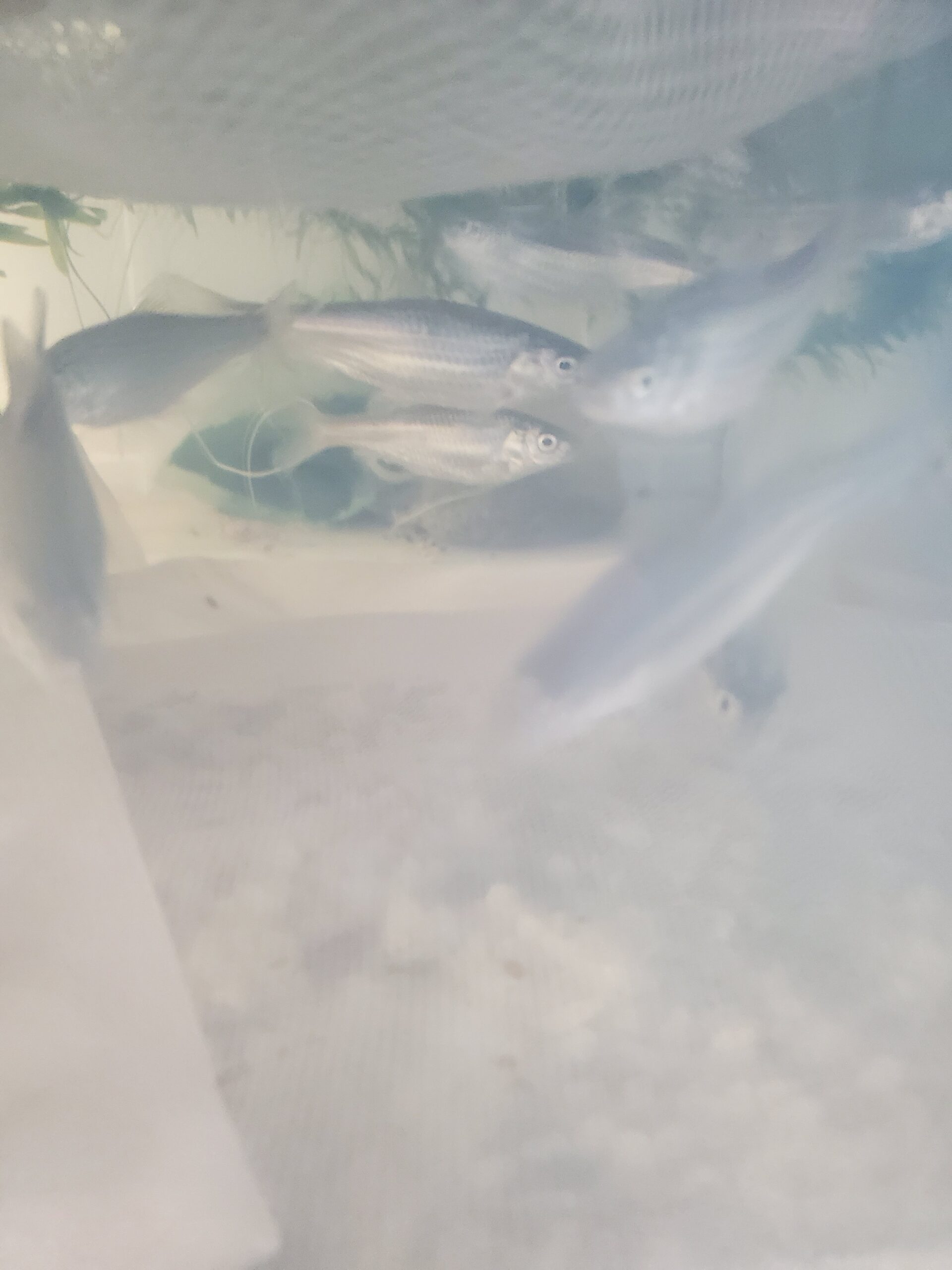 20230108_0822319031687600792074920