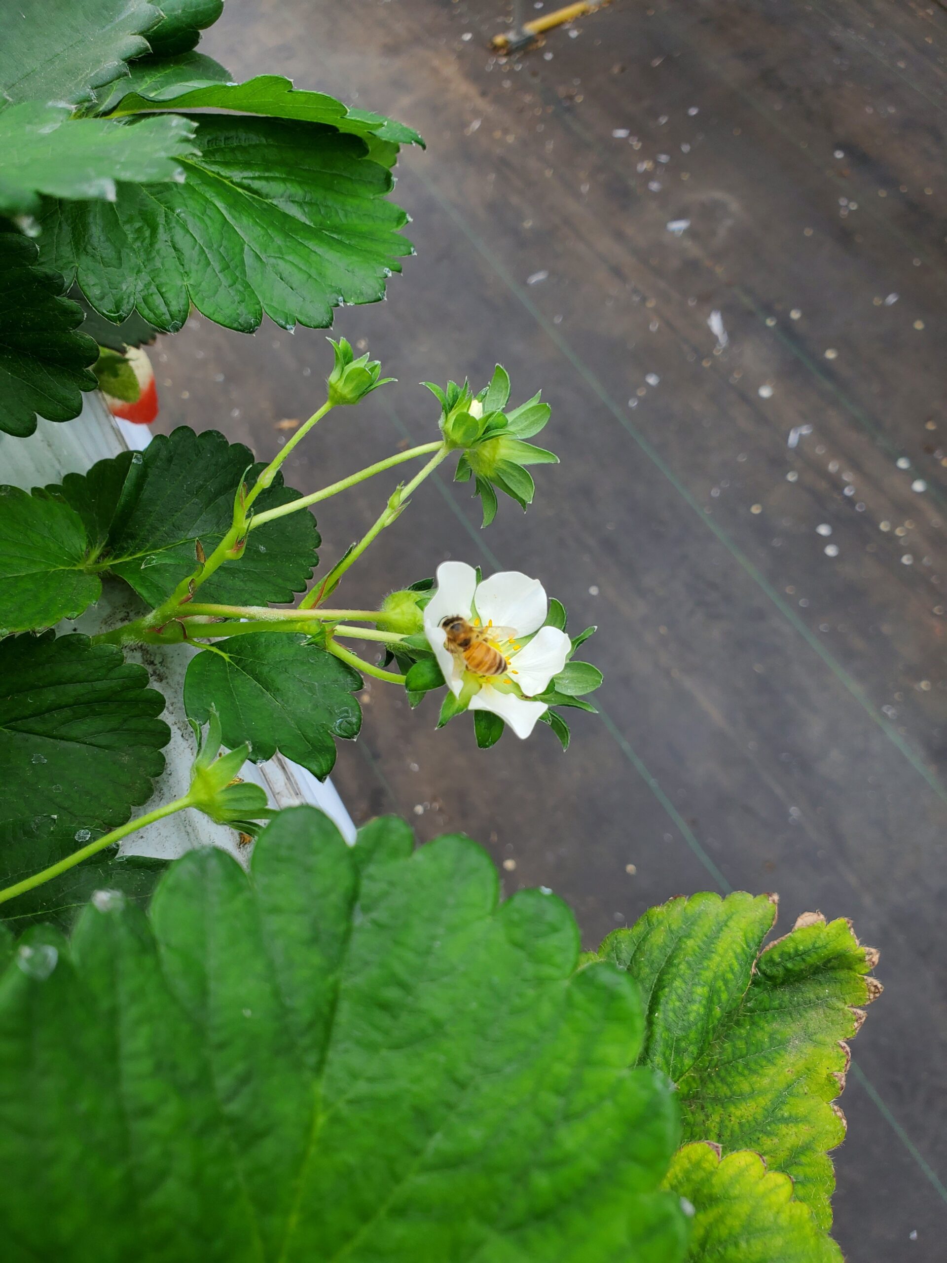 20230326_1427256734303722057499119