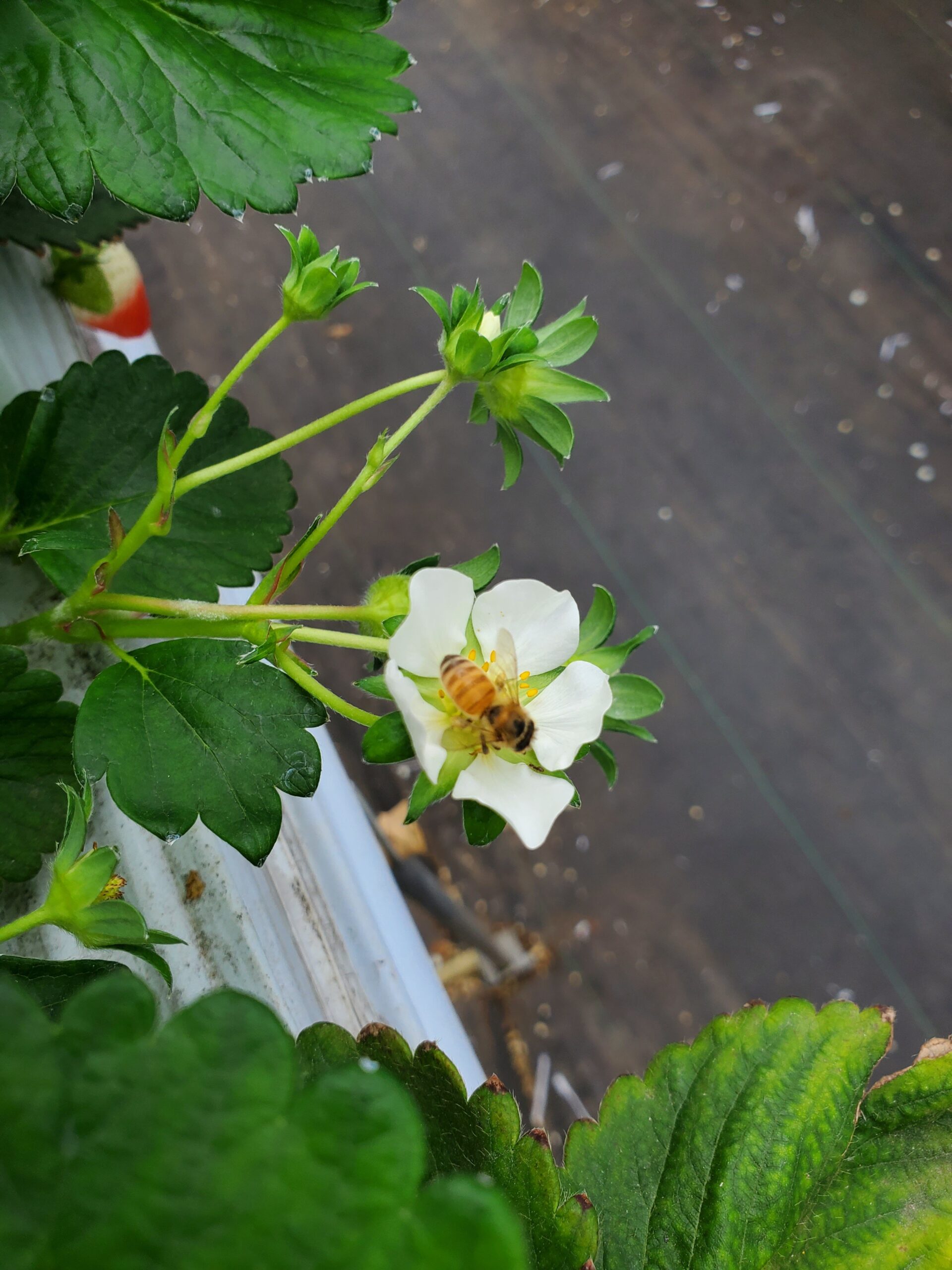 20230326_1427273839228100918121767