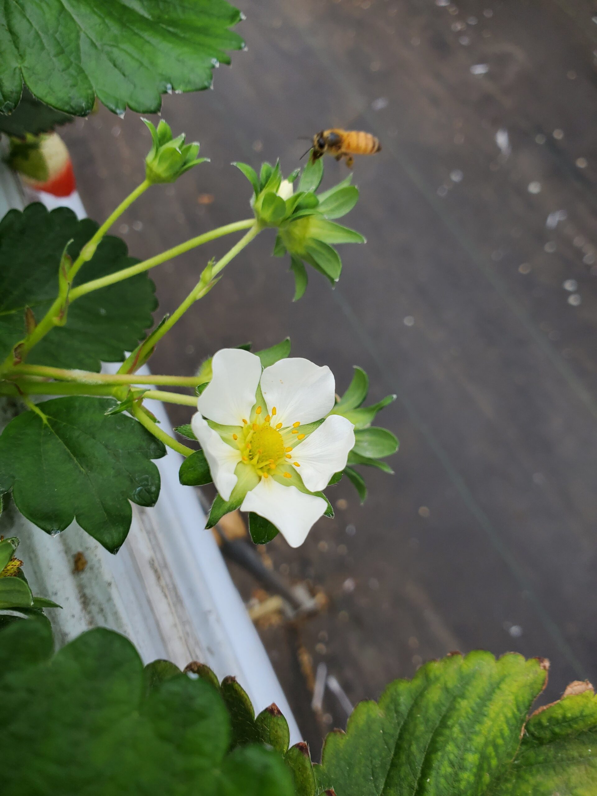 20230326_1427282633966914336390551