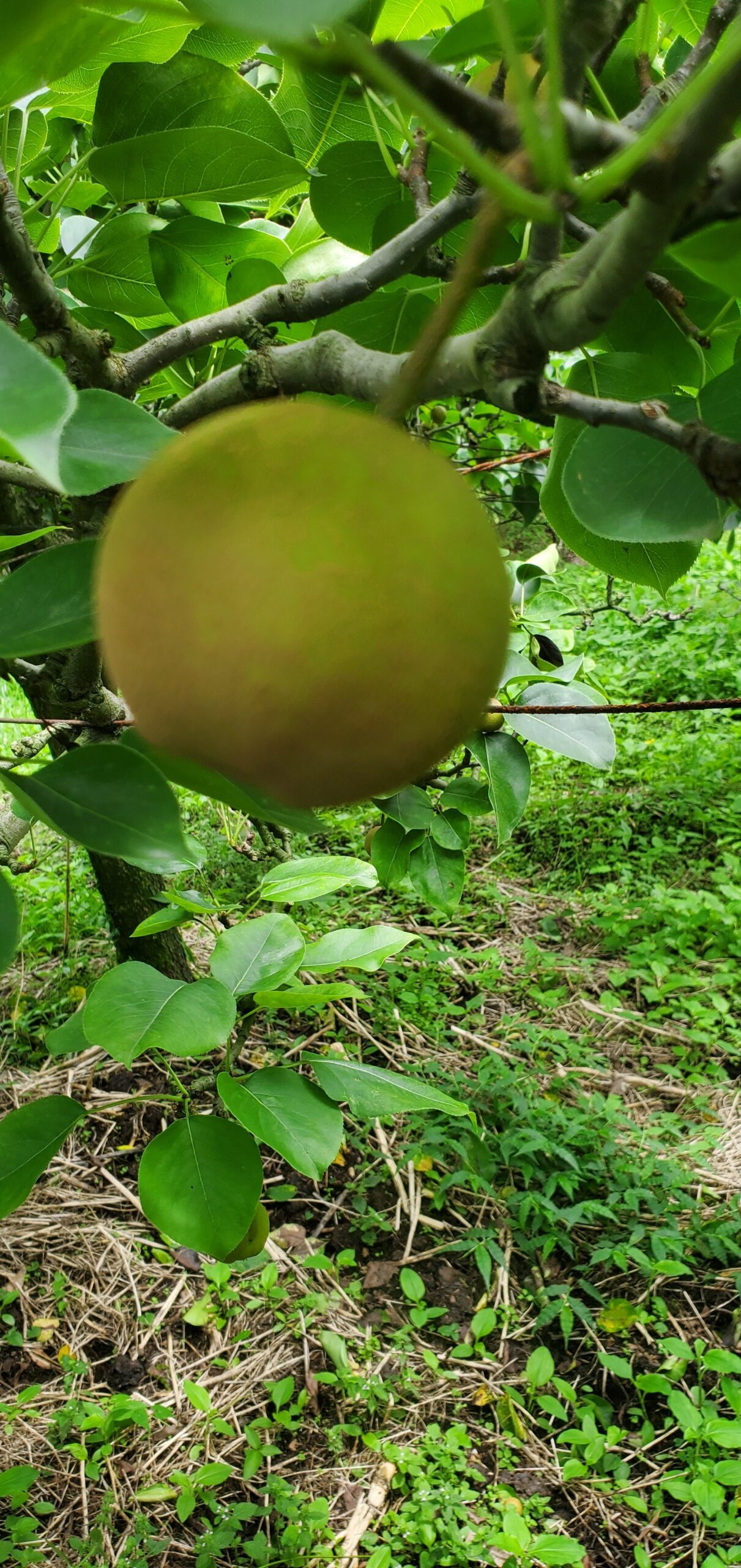 20230623_1407515836237561369901997