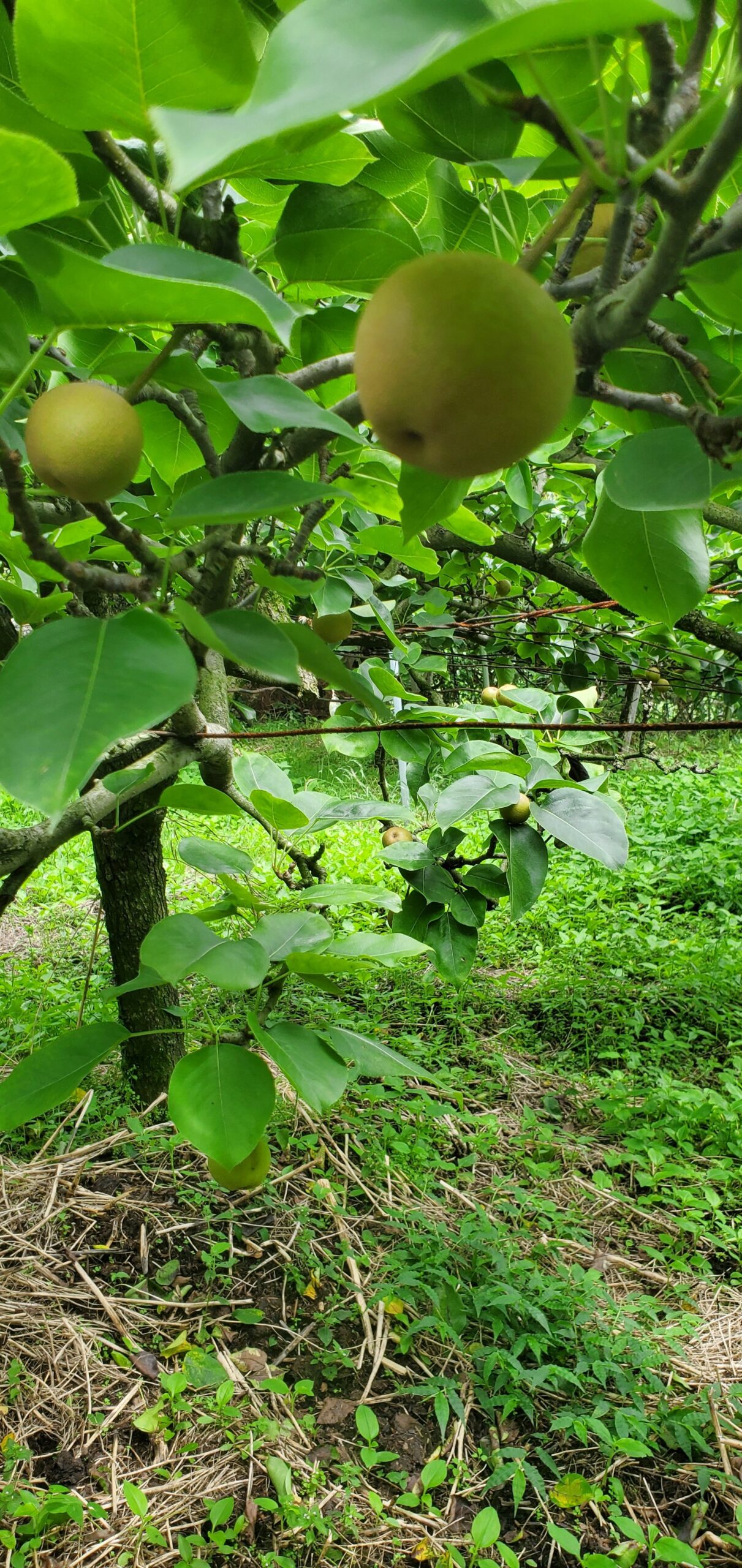 20230623_1407578265527497180192375