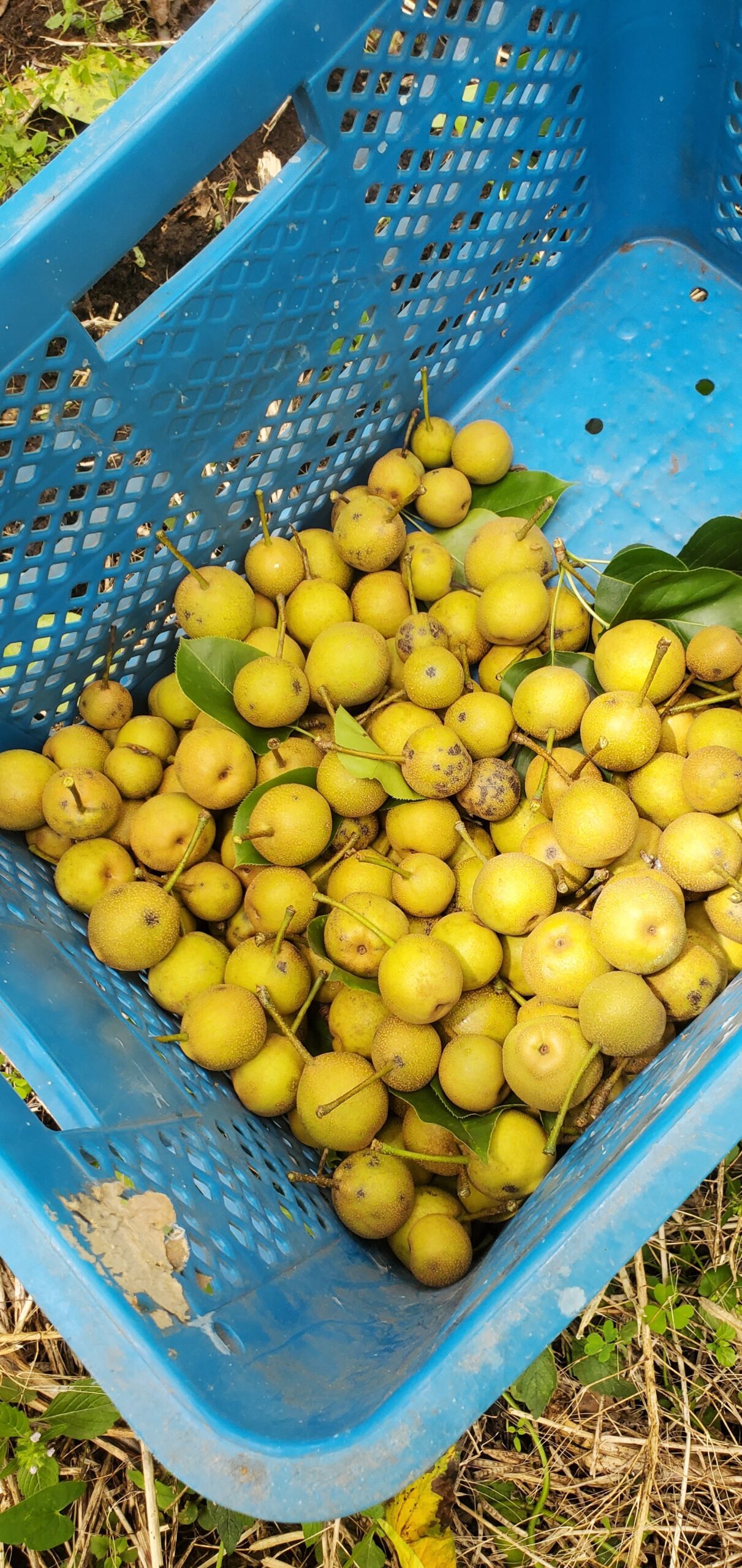 20230623_1408028783089128340163784