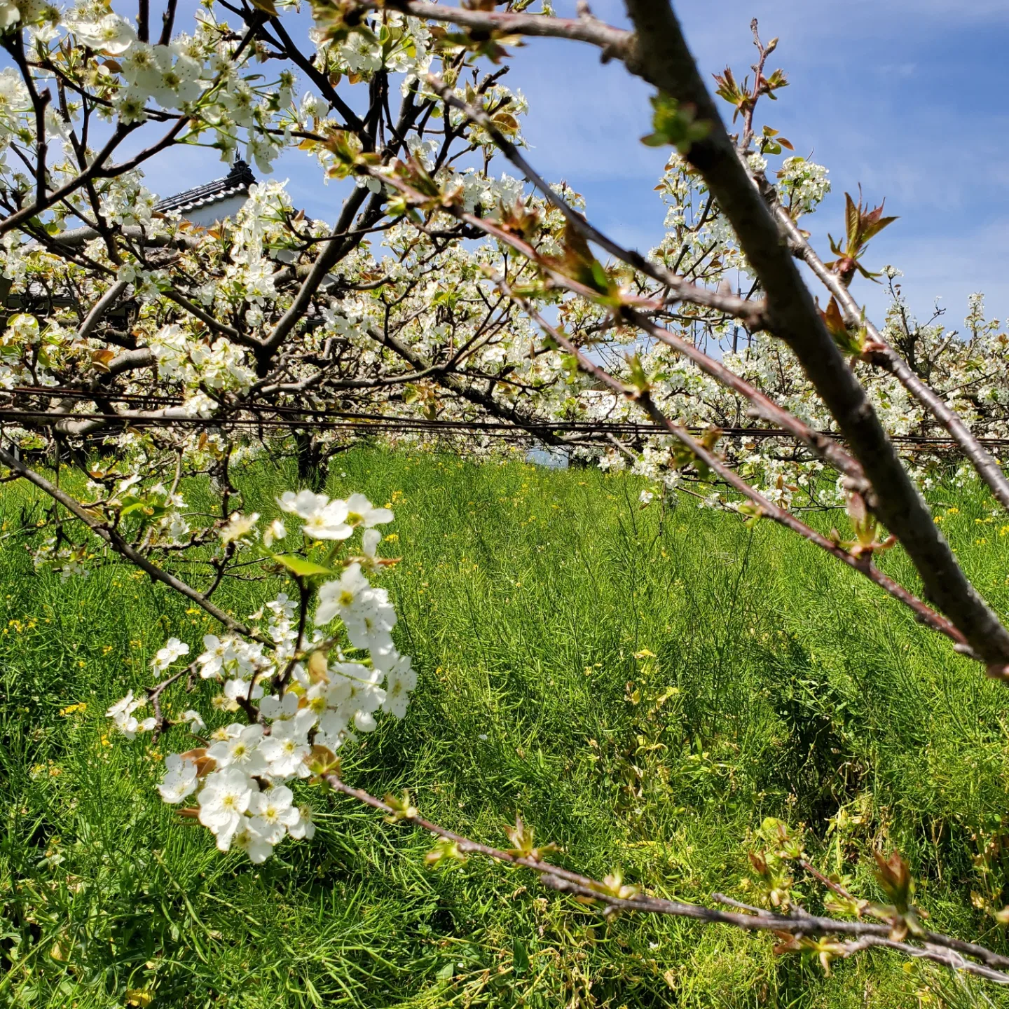 IMG_20220407_203535_499