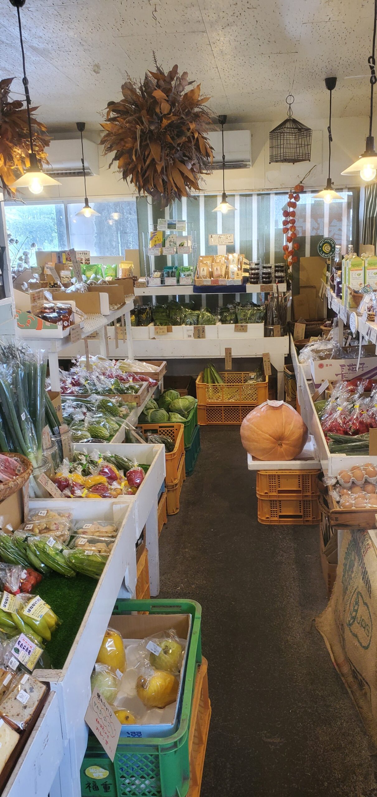 20230914_1457083962352236171051892