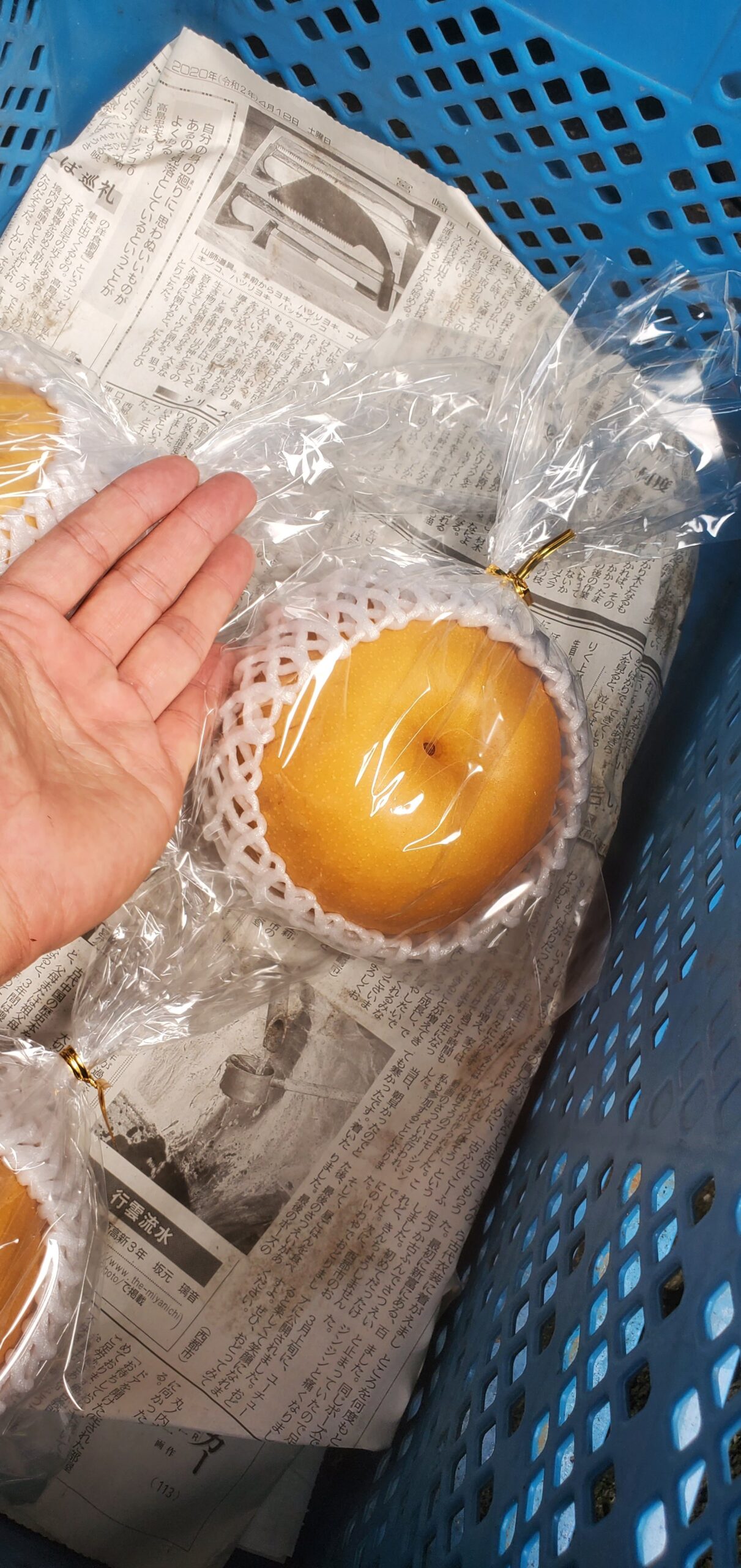 20230915_1344056867028063362494165