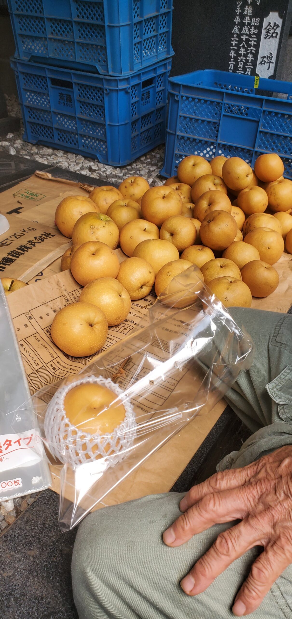 20230915_1344082553375372536611927