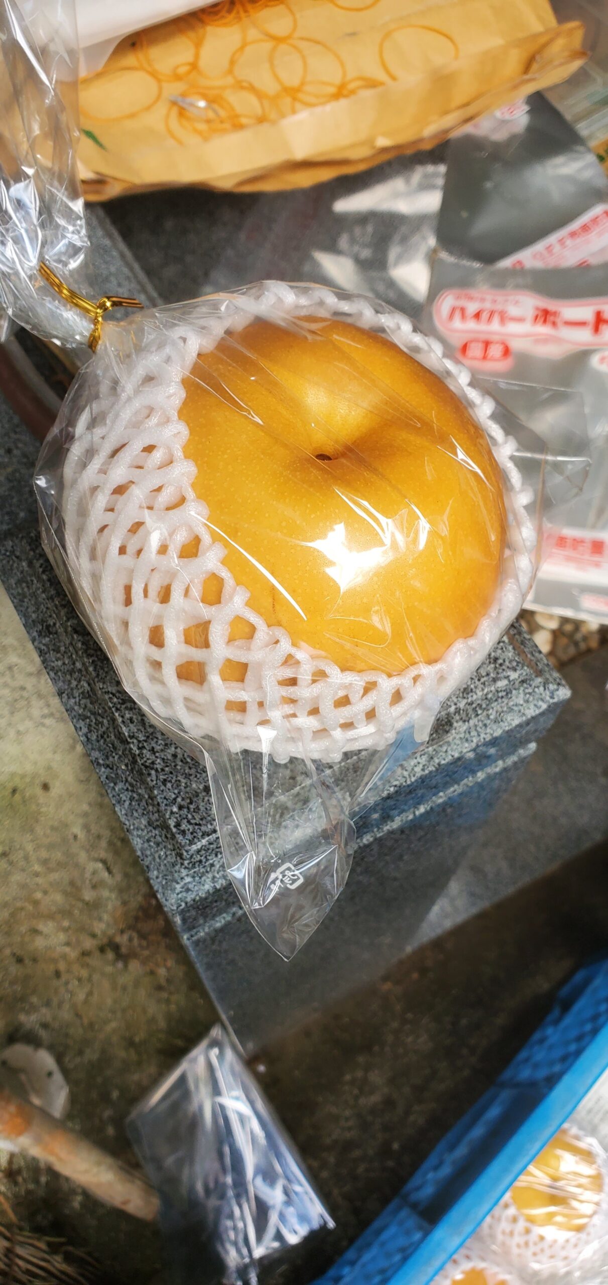 20230915_1344187570972959432269486