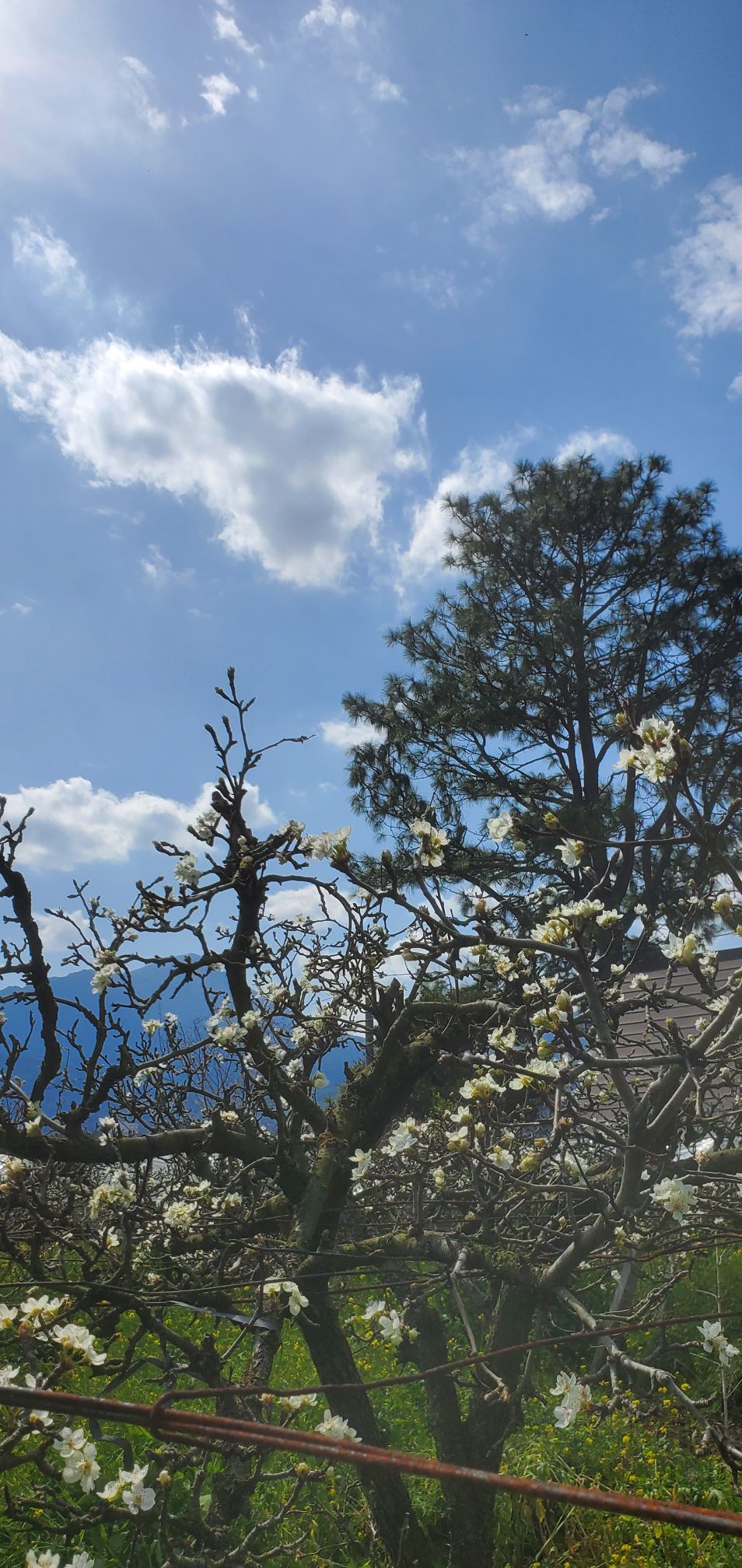 20240322_1358094040751564989567872