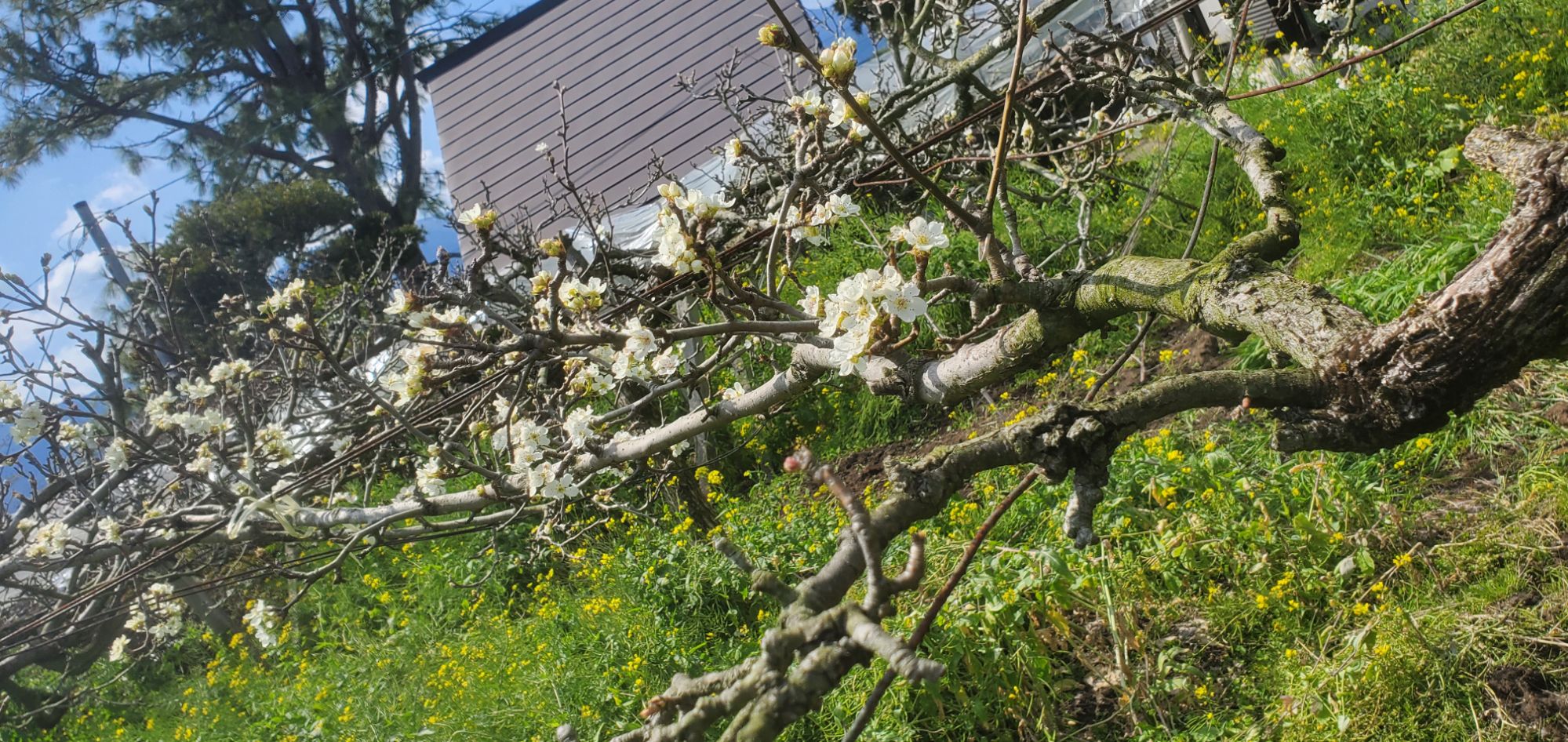 20240322_1358302029656018652329816