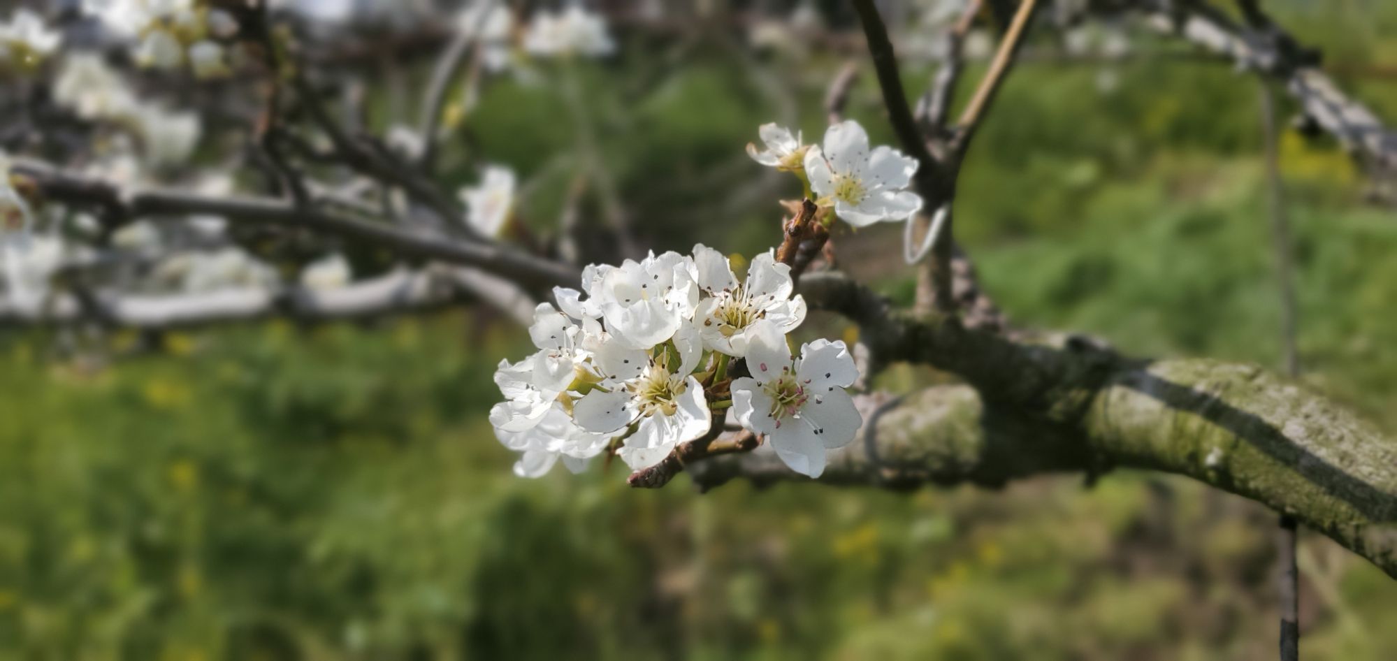 20240322_1358432913606778805335909