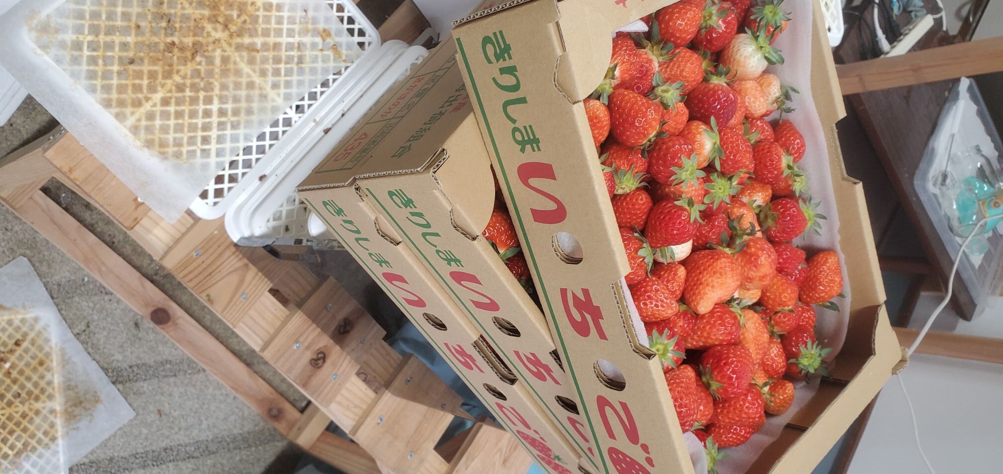 20240422_1438263095197089433550182