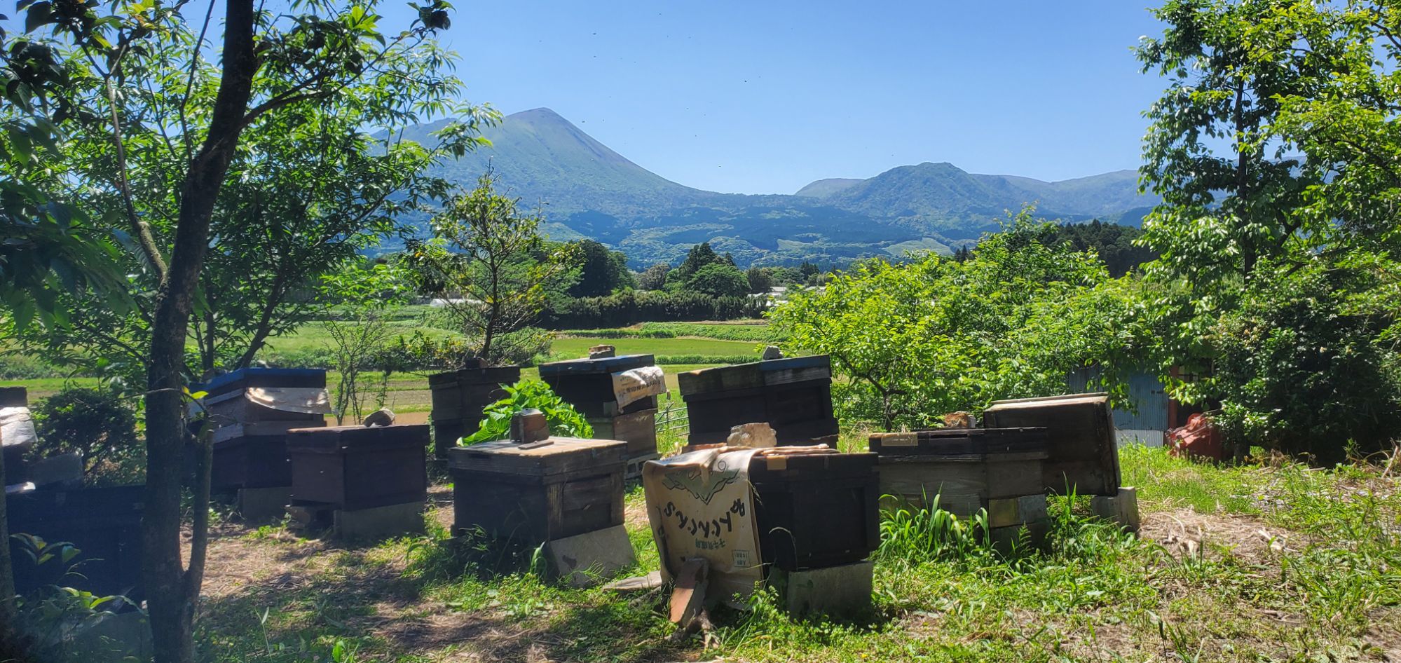 20240509_1302444820406305930827724