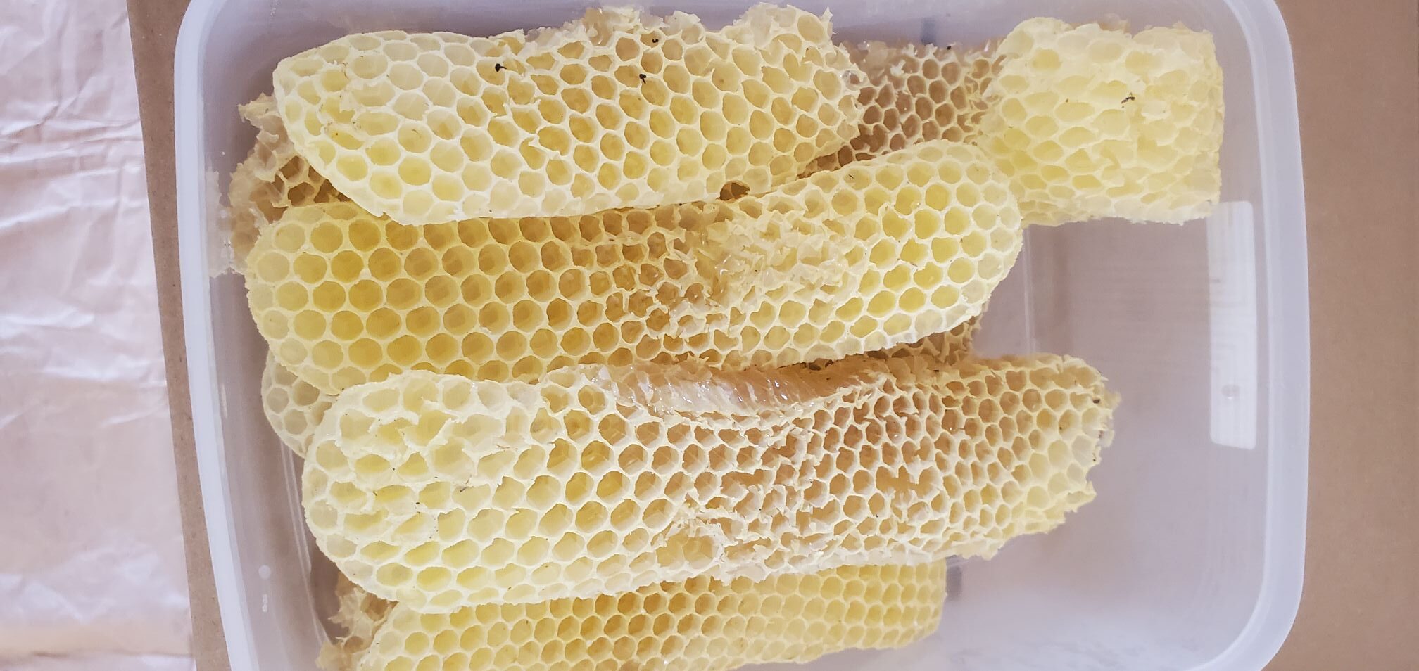 20240511_112703850222817697529237