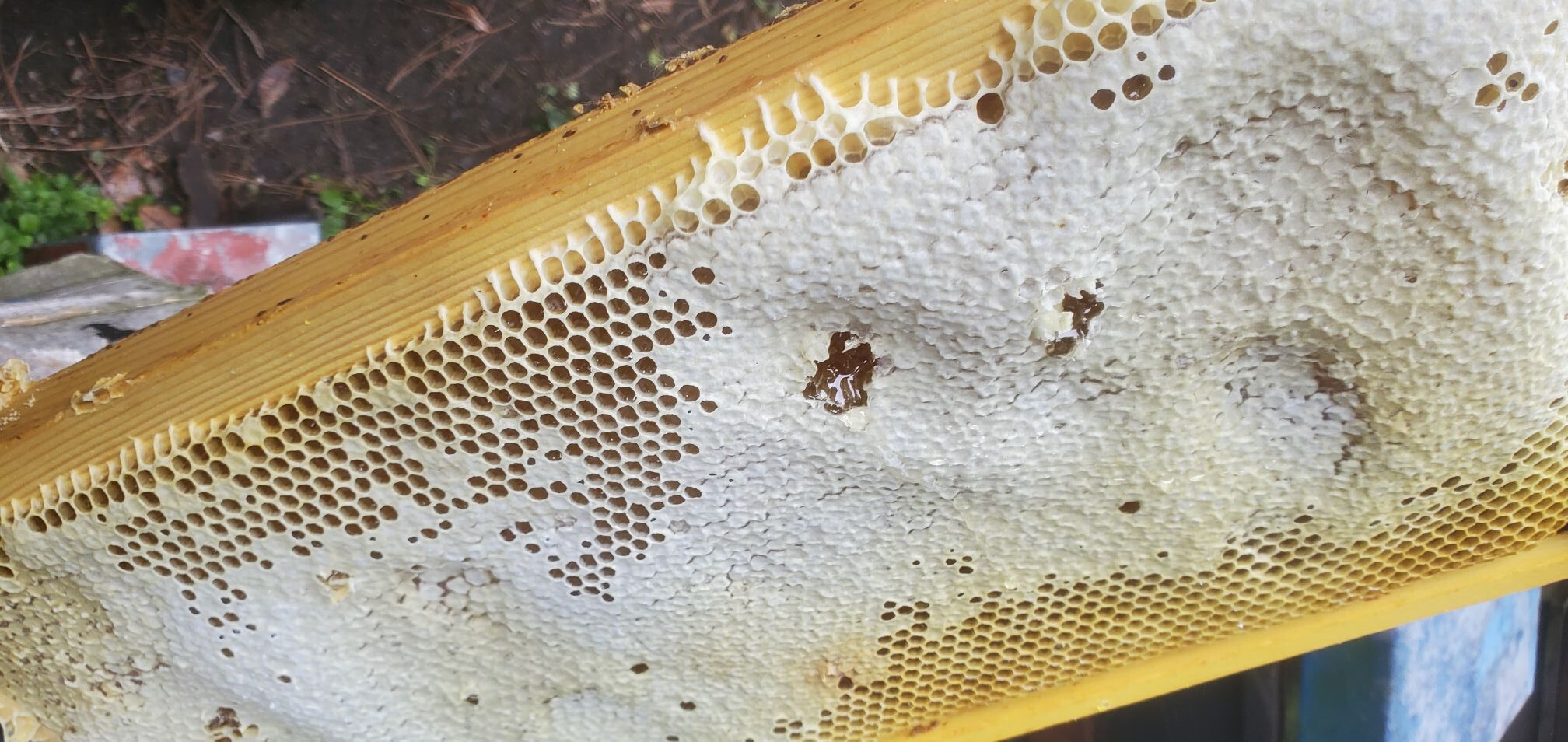 20240530_0738342572855467130728909