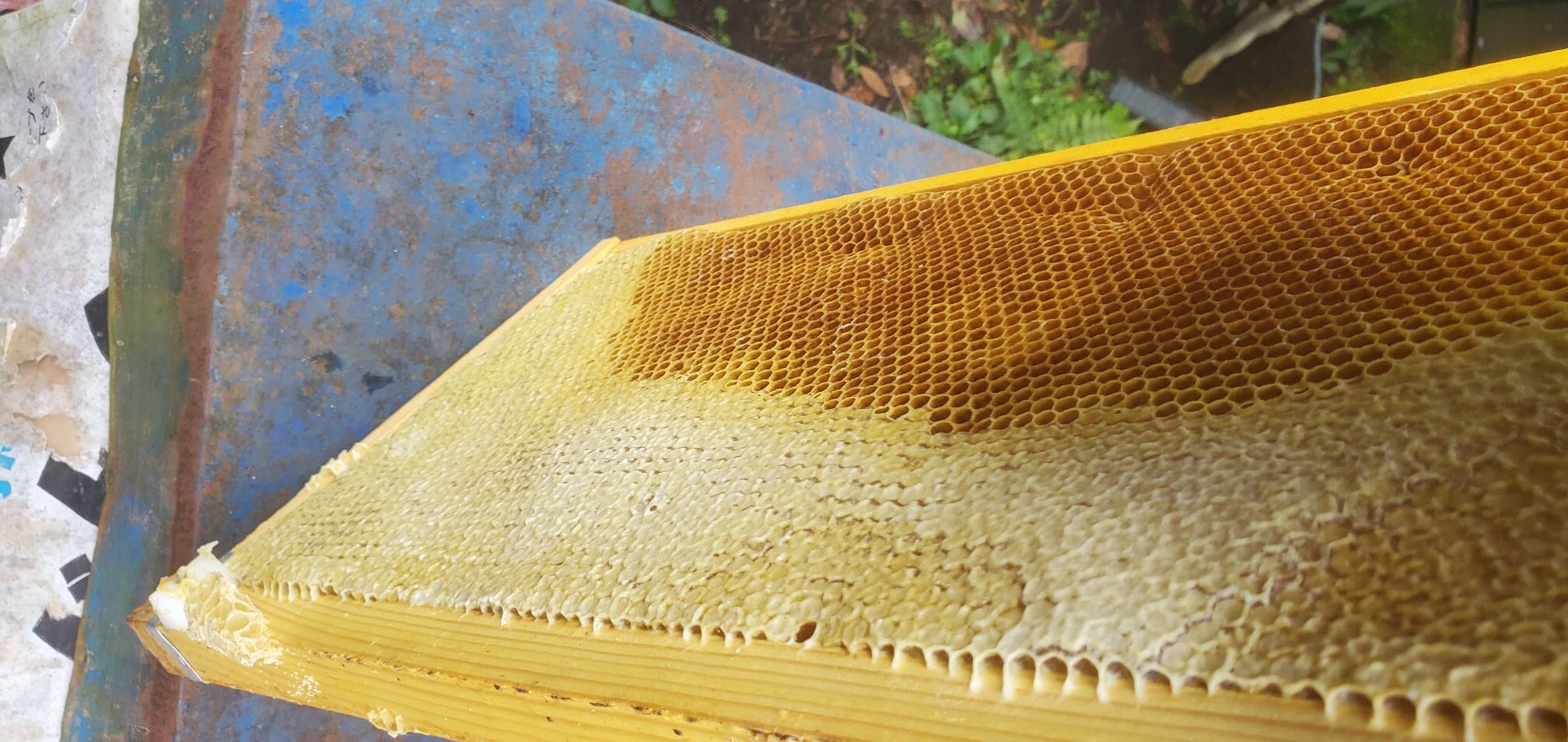 20240530_0738383421629857935391037