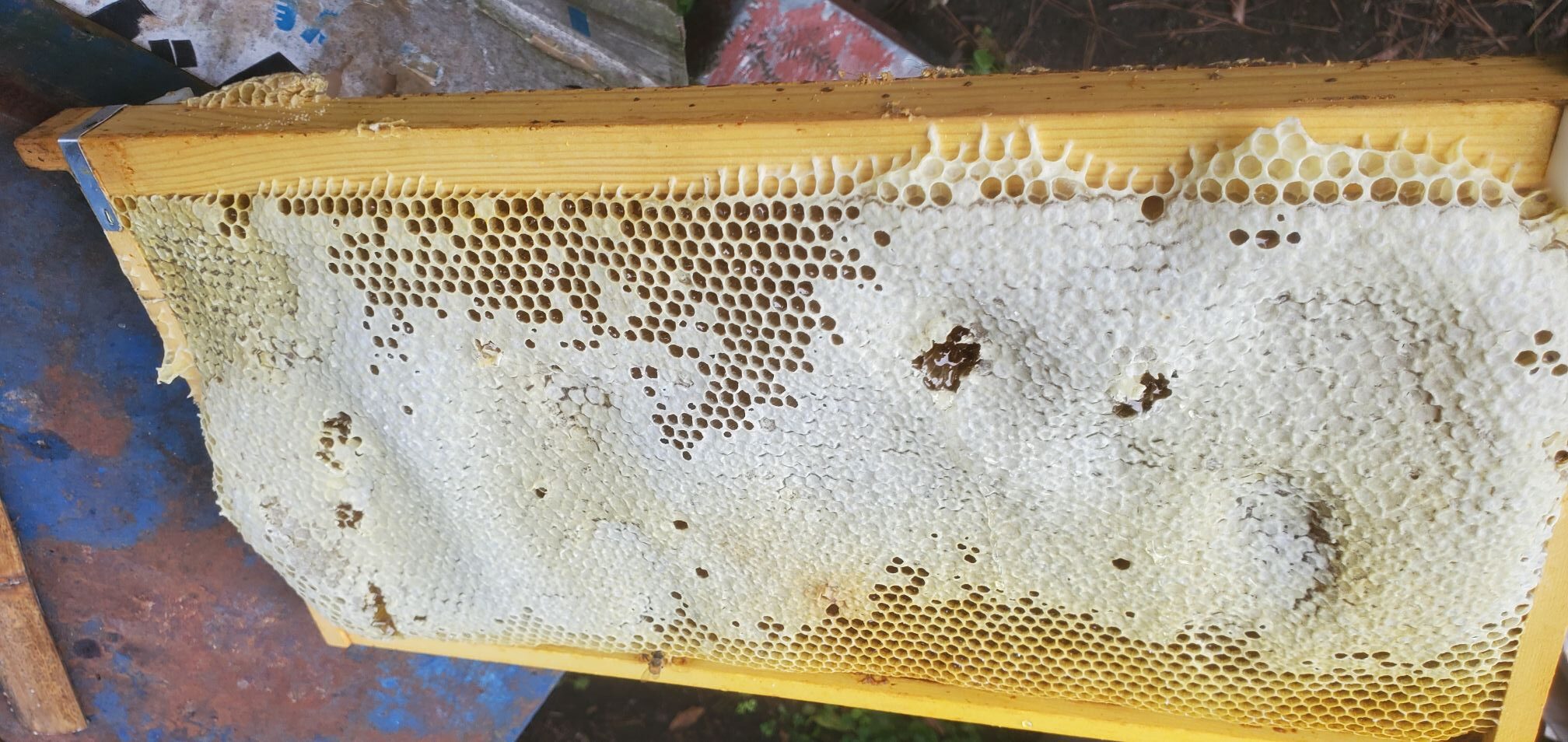 20240530_0738443705106201313630953