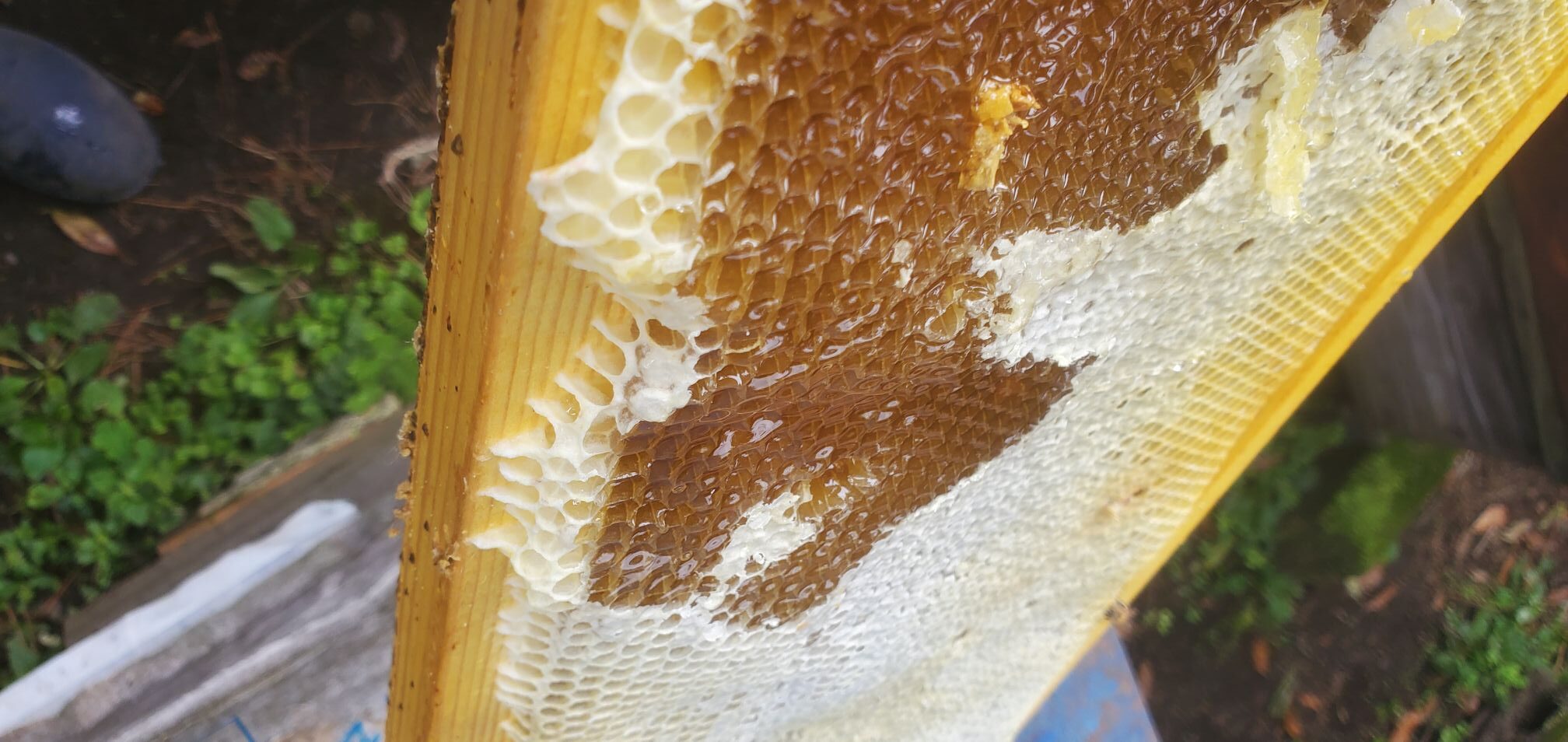 20240530_073933187930848492384812