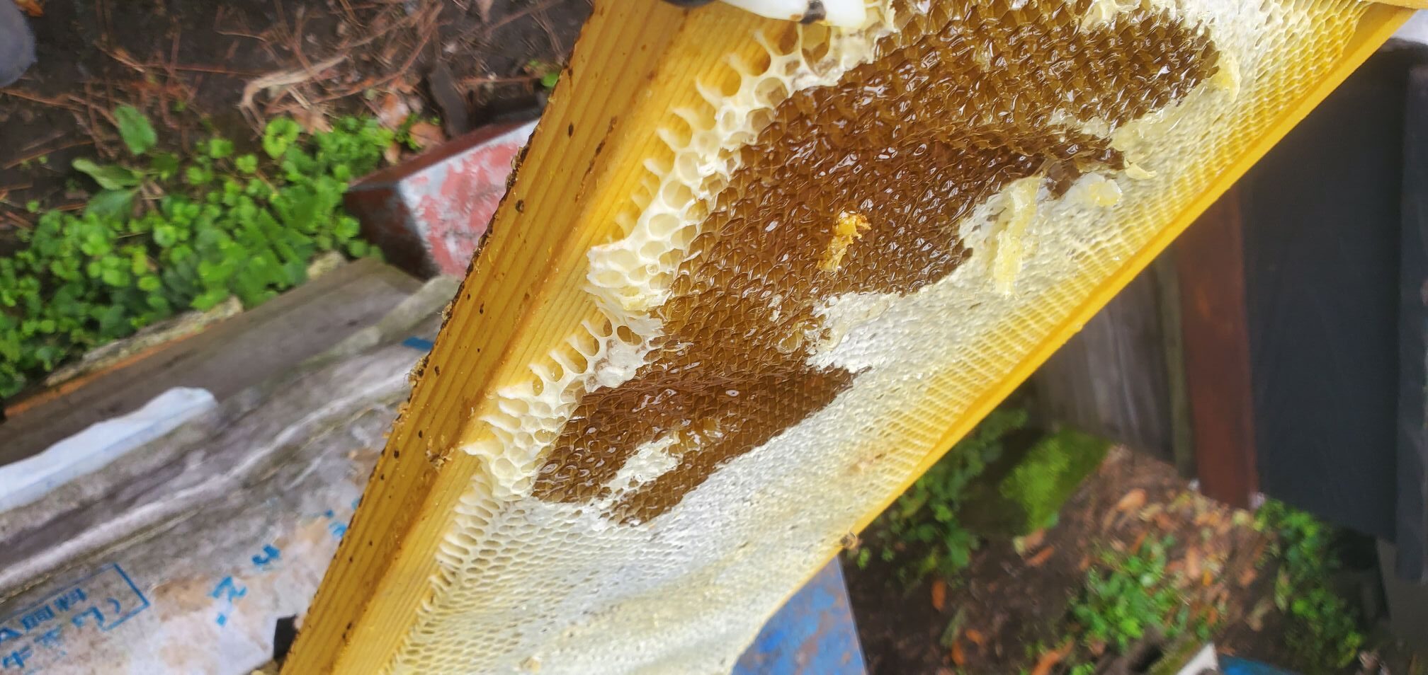 20240530_0739357864113838476636998