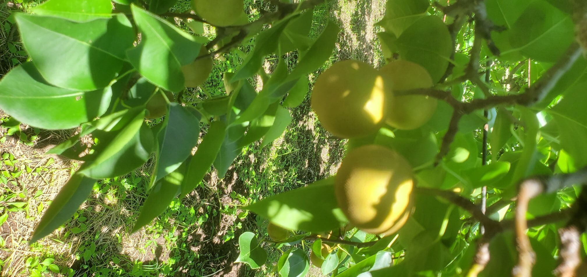 20240613_1416354974223239819899589