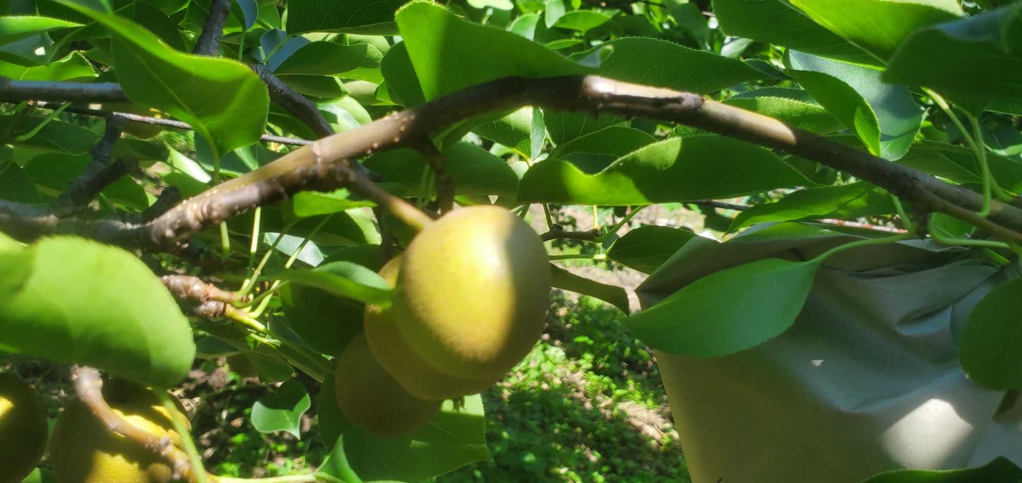 20240613_1416485808348219510210925