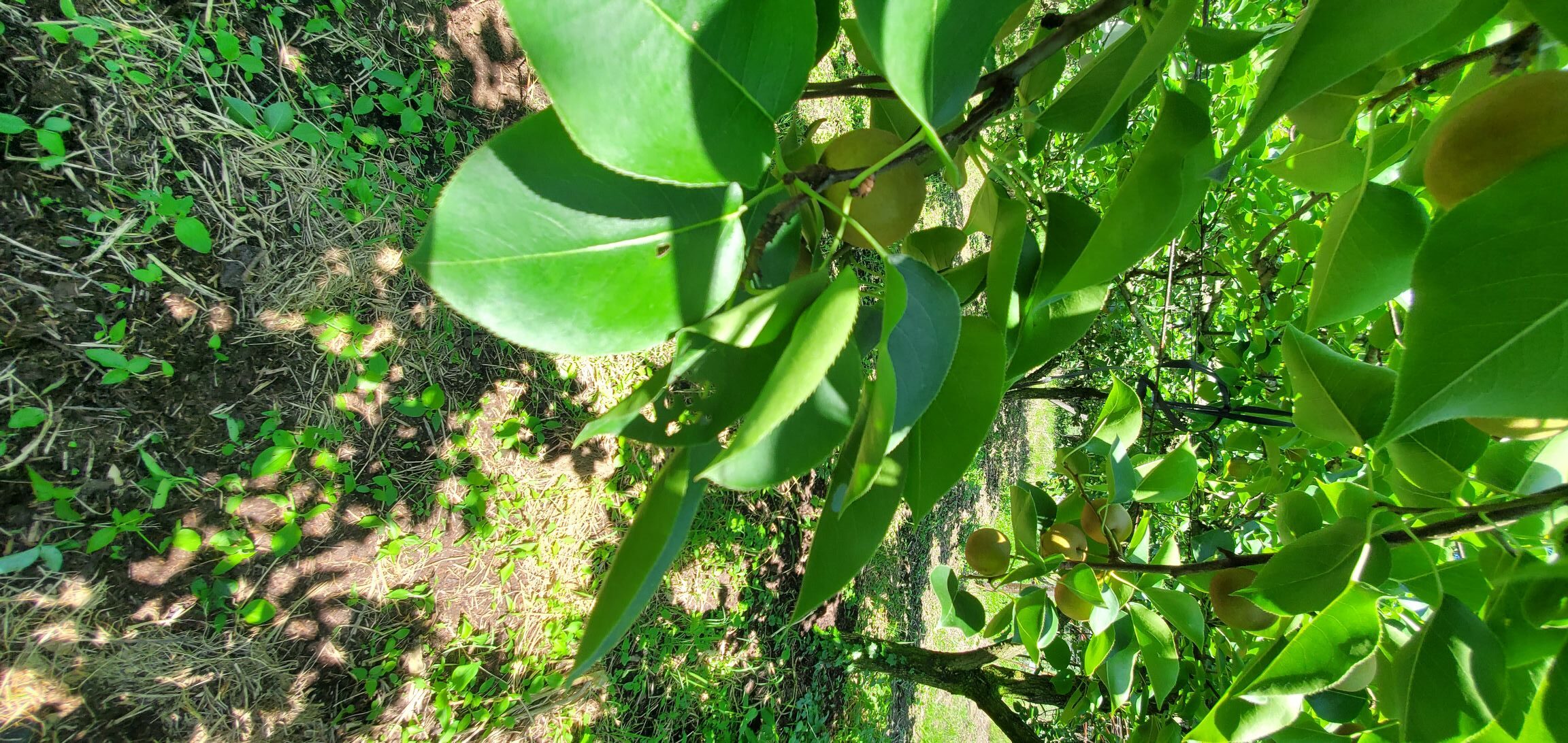 20240613_1416585484017966853199838