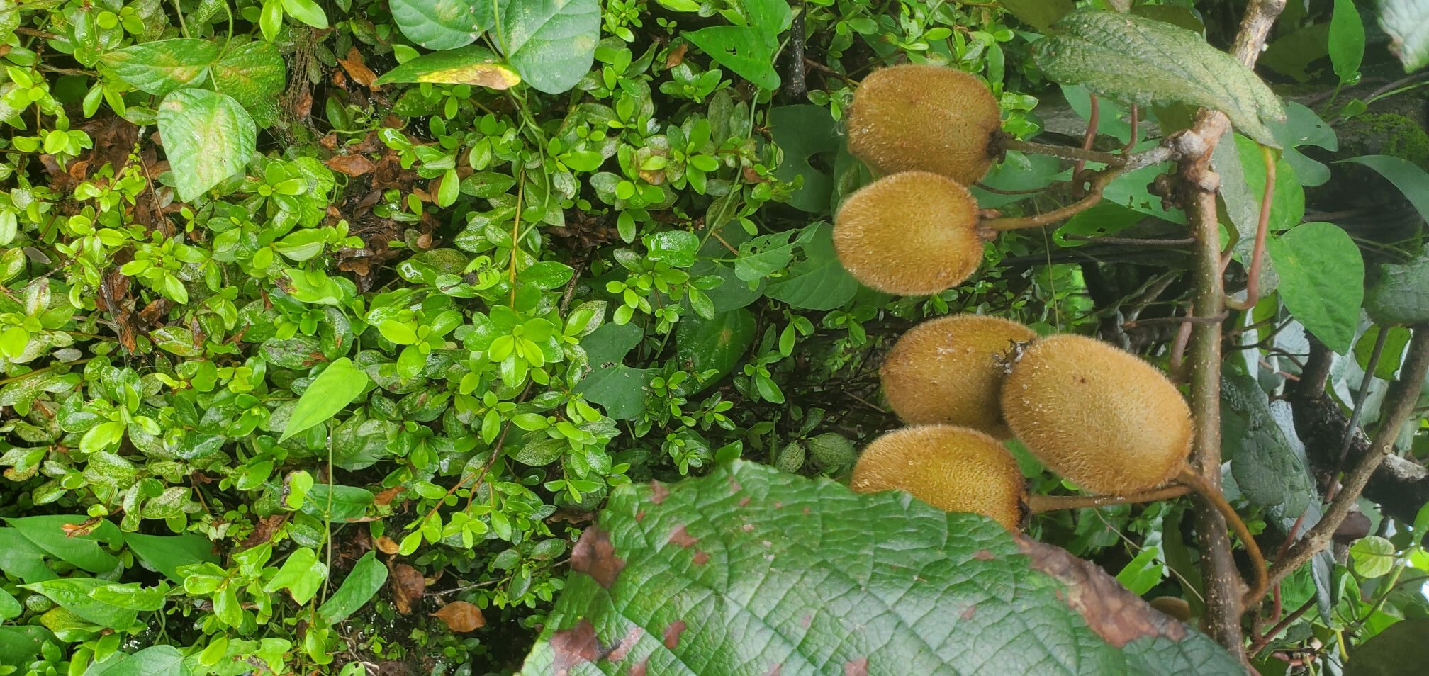 20240711_1213358234590699306165631