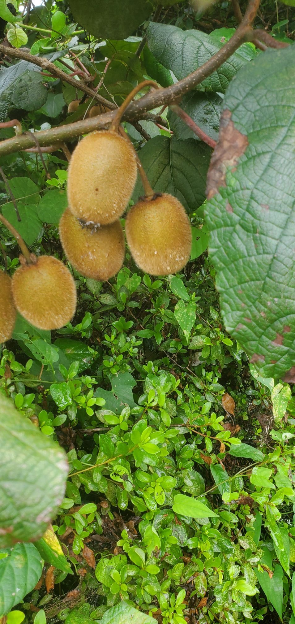 20240711_1213391916854690807958760