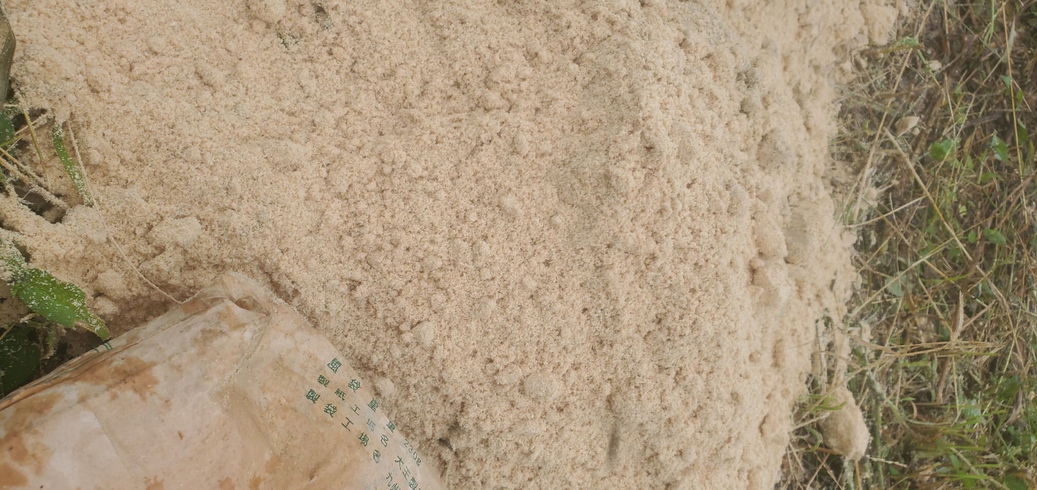 20240713_1418242760108543033771356