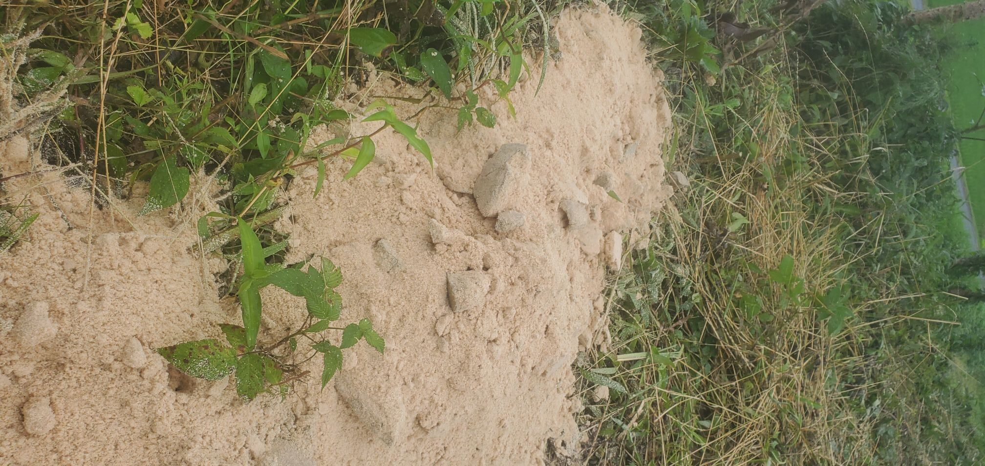 20240713_1418263670139185640277444