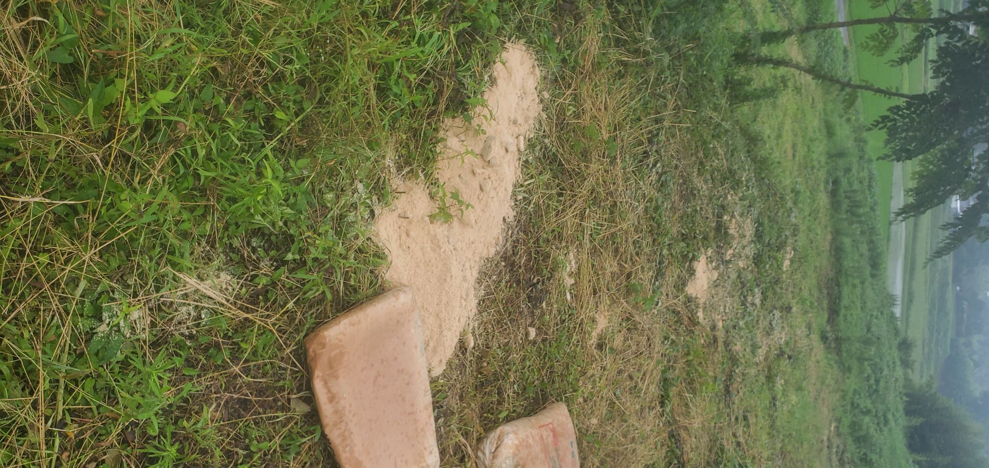 20240713_141830762032495231525497