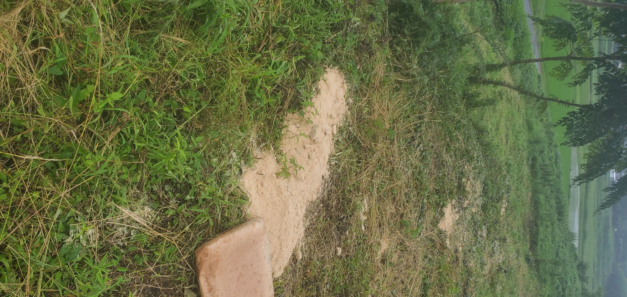 20240713_1418327569012925710844378