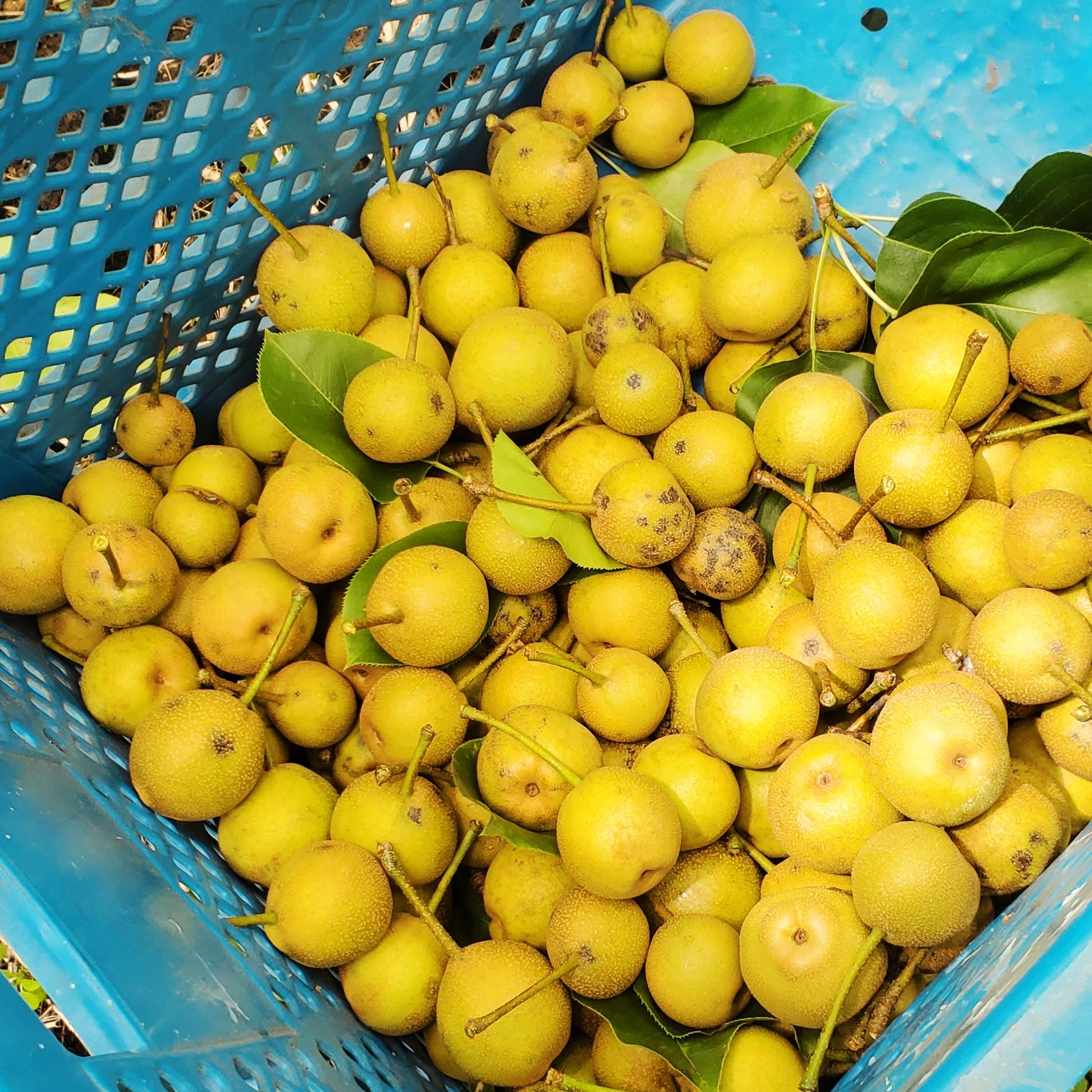 img_20240708_150413_0075873398406145787573