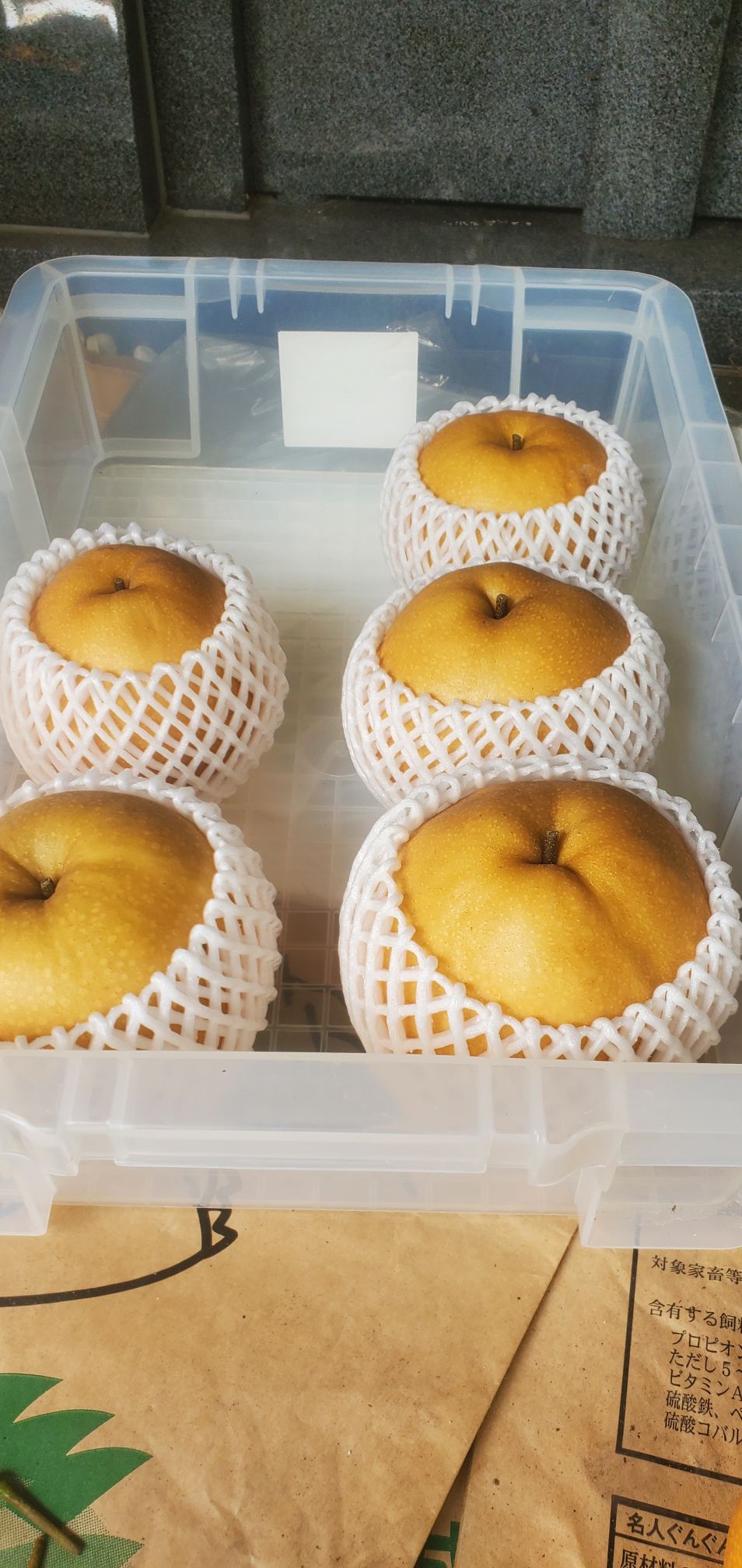 20240909_135243219172152283624296