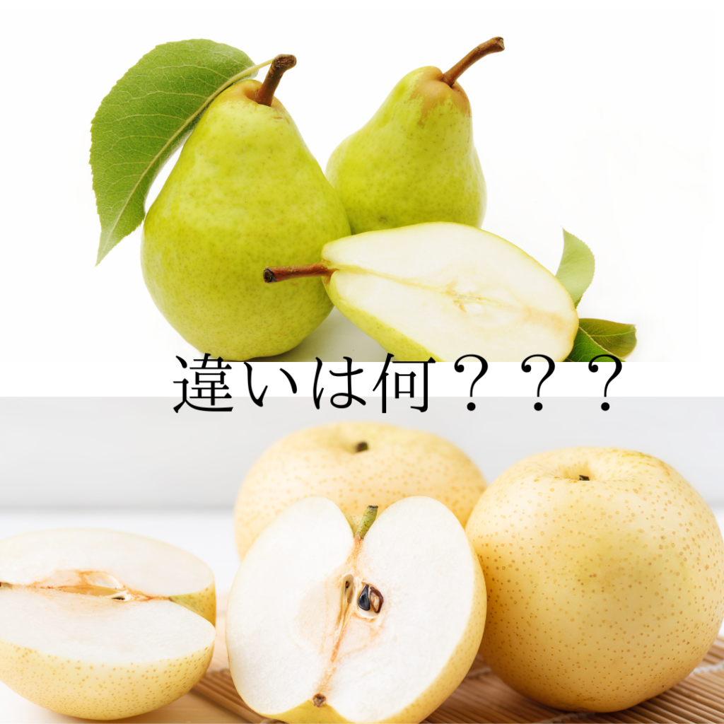 和梨の魅力を徹底解説！日本の秋を彩るジューシーな果物とは？ | 合同会社 フルーリヤ