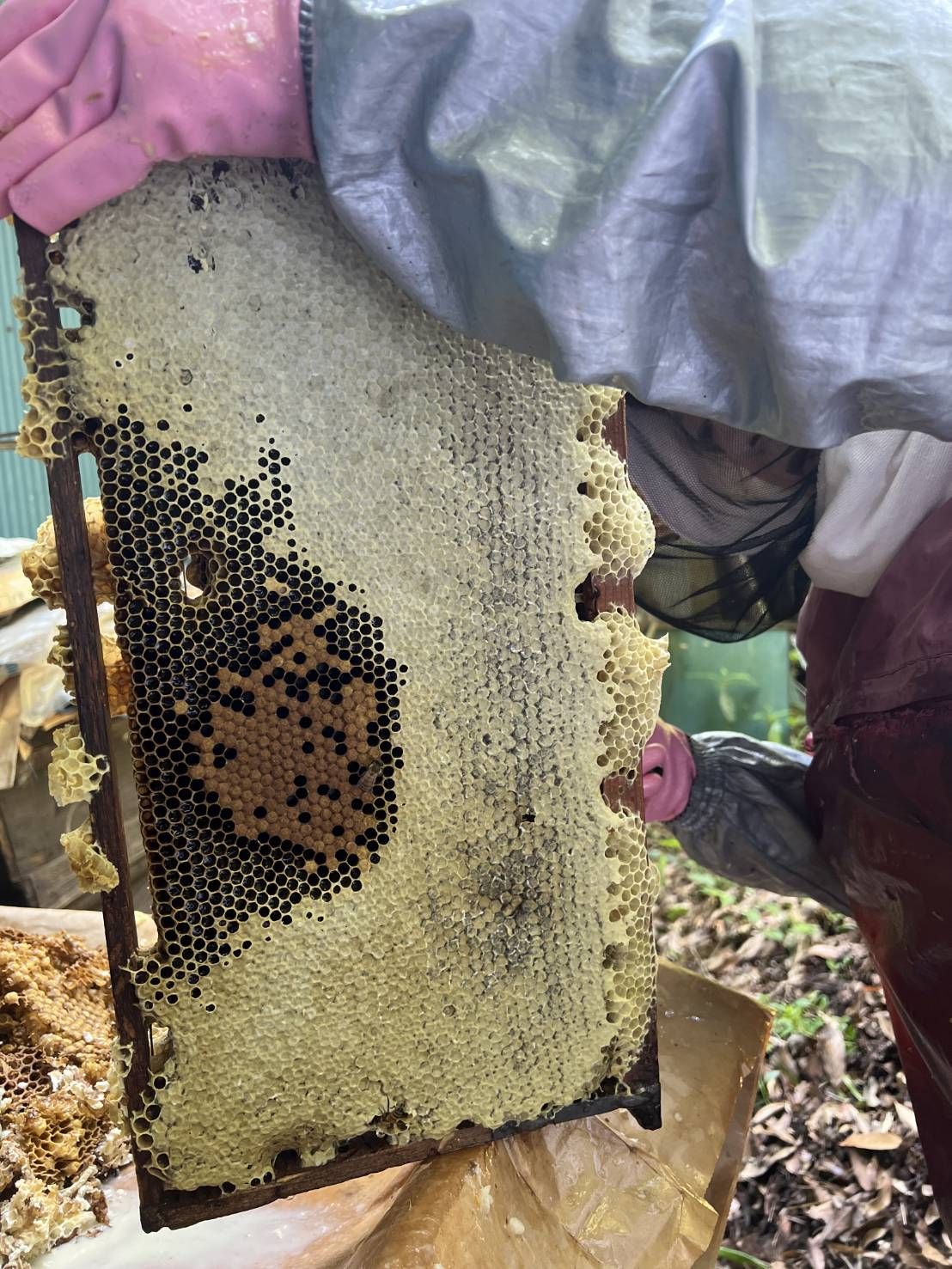 1759906621799460968647562747353