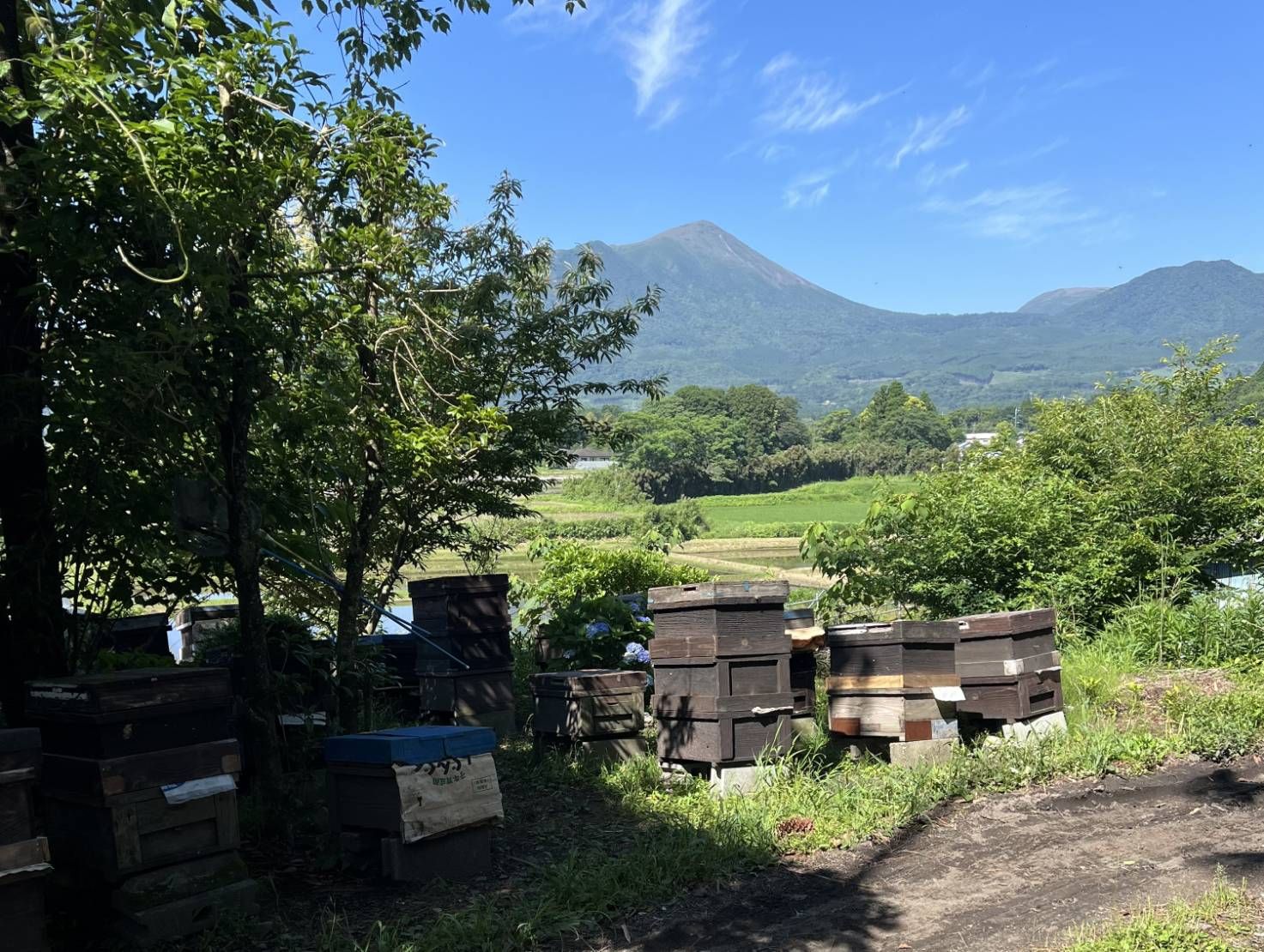 17599066665747820375608426023546