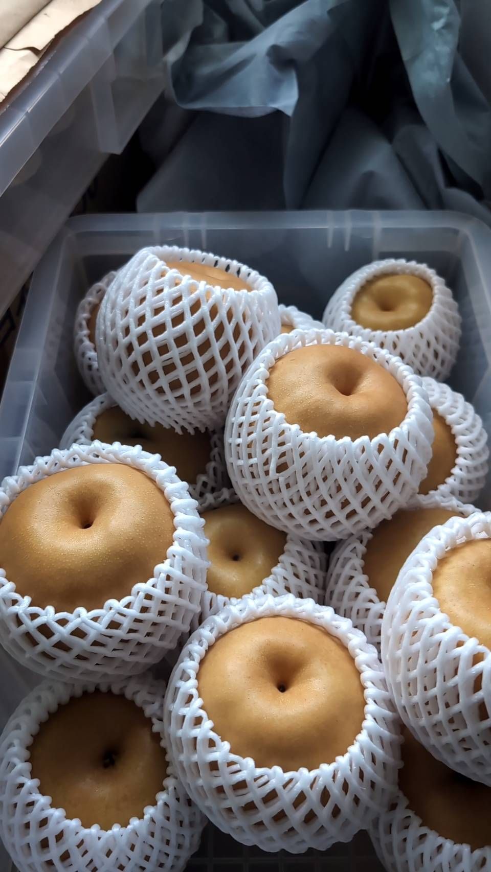 17599066703878614591591580166004