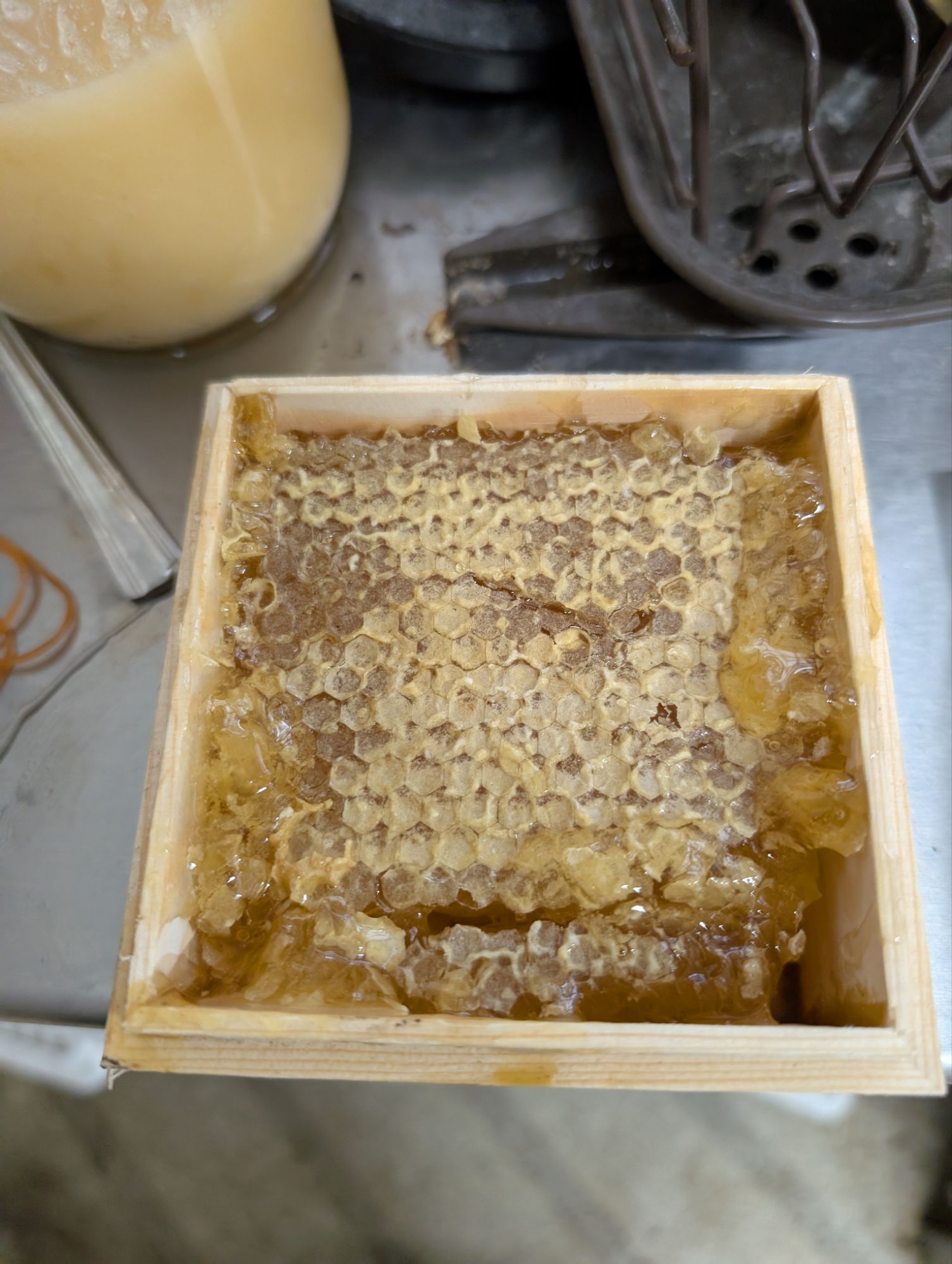 pxl_20250609_0518281997436609258939944040