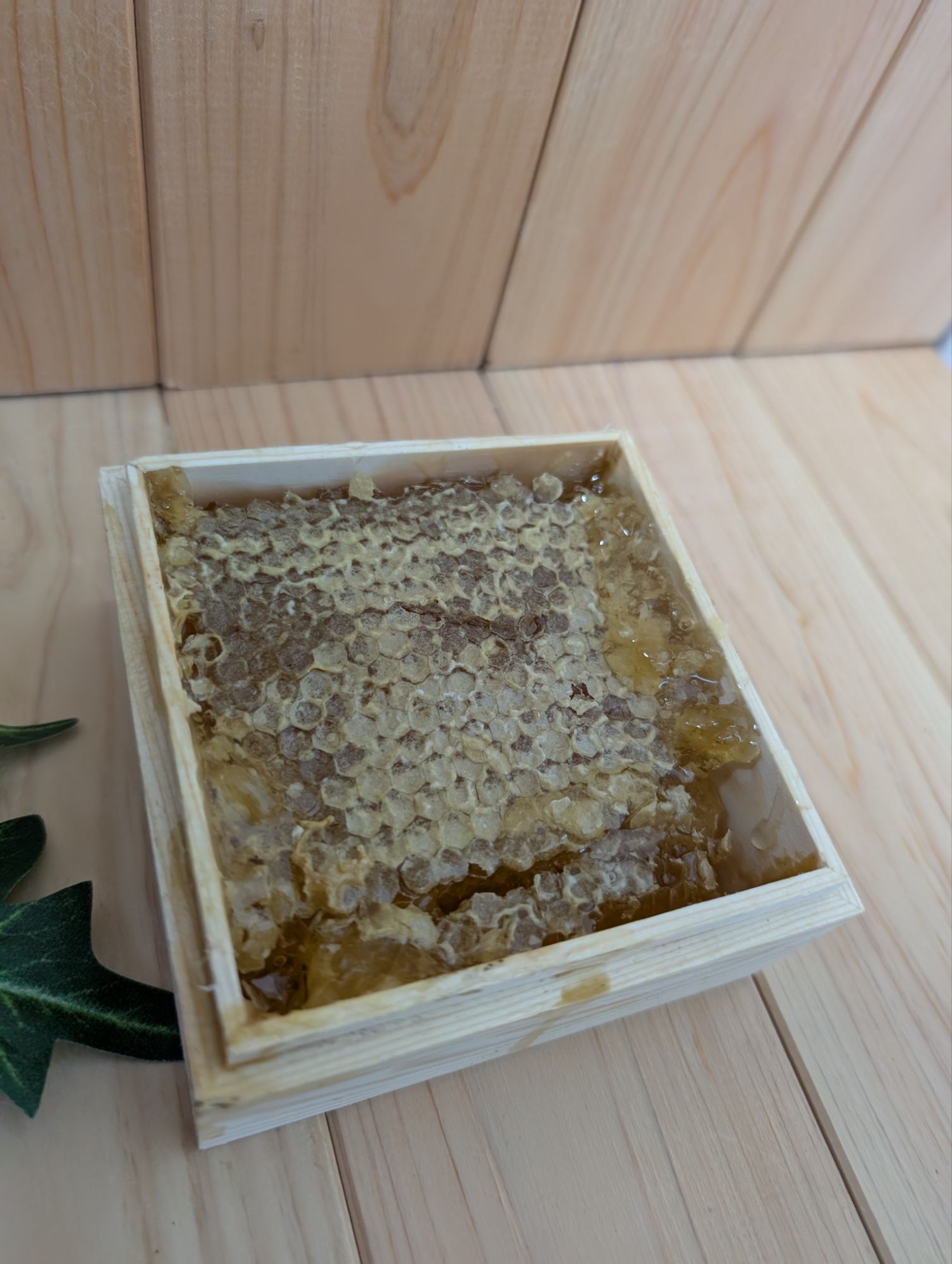 pxl_20250609_0519465544135383038054086843