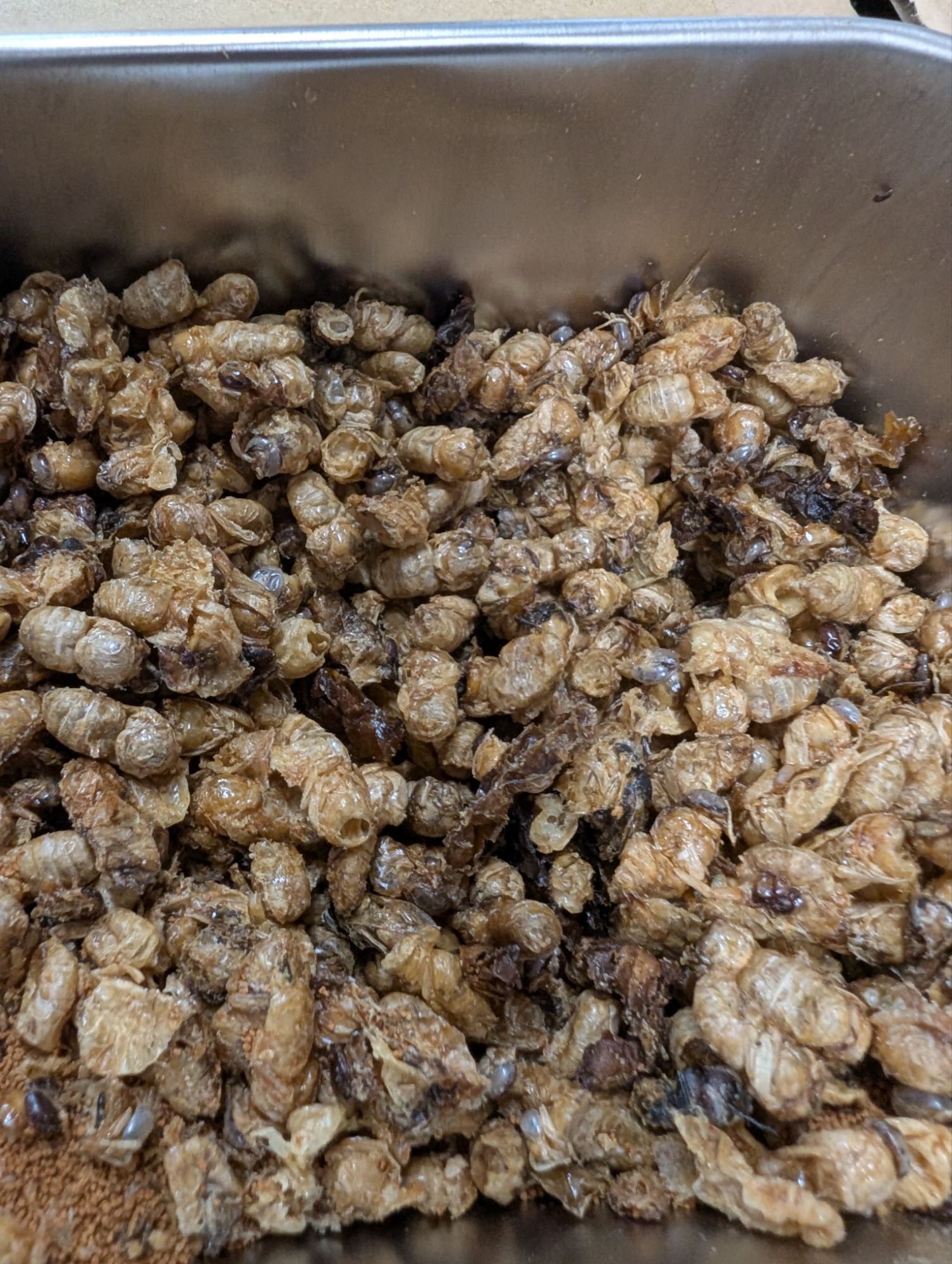 pxl_20250713_0319322598275150662842054450