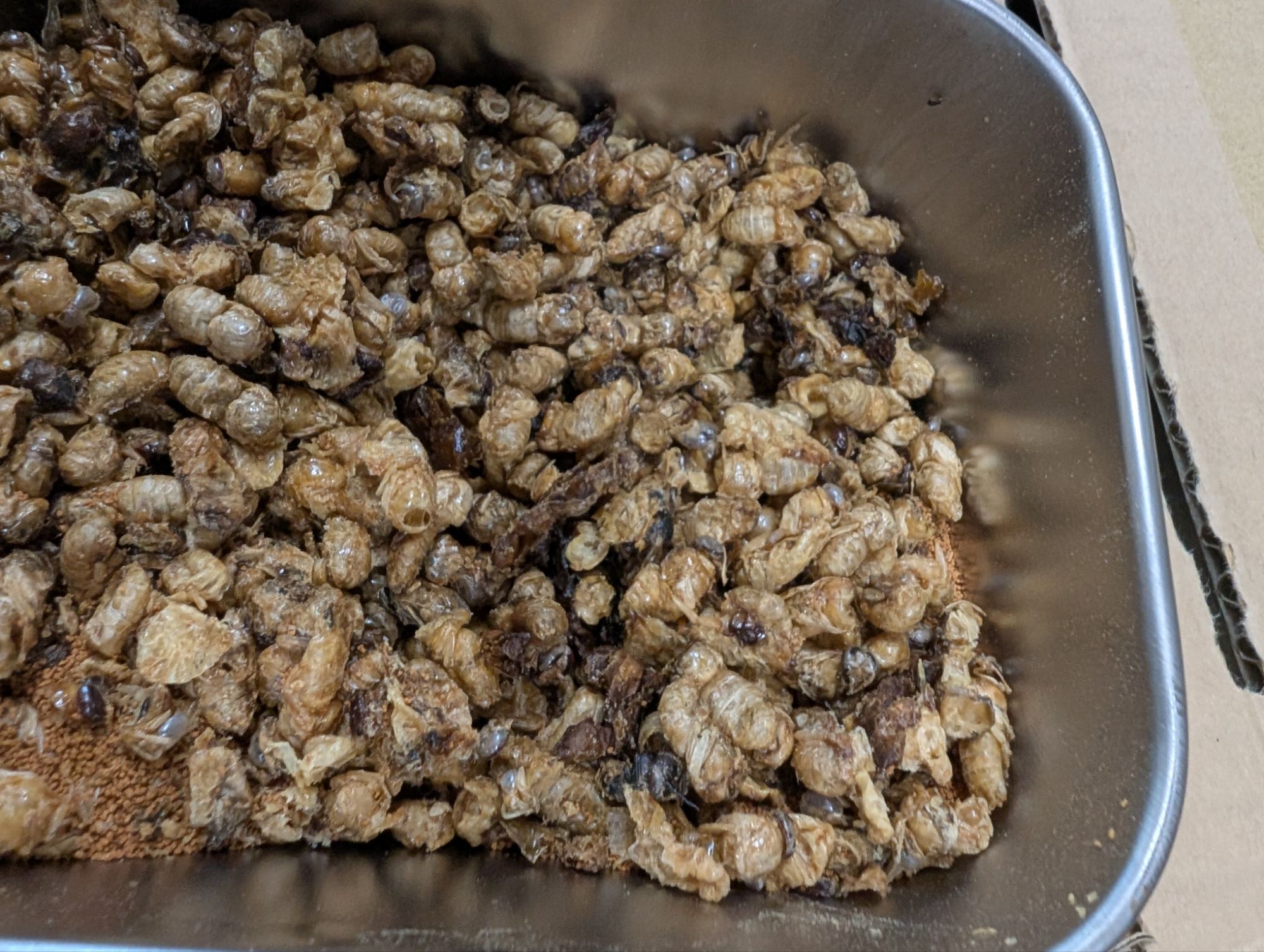 pxl_20250713_0319369718432795045700656506